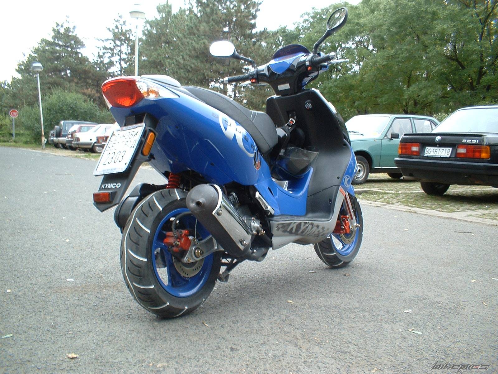 Photo 227566