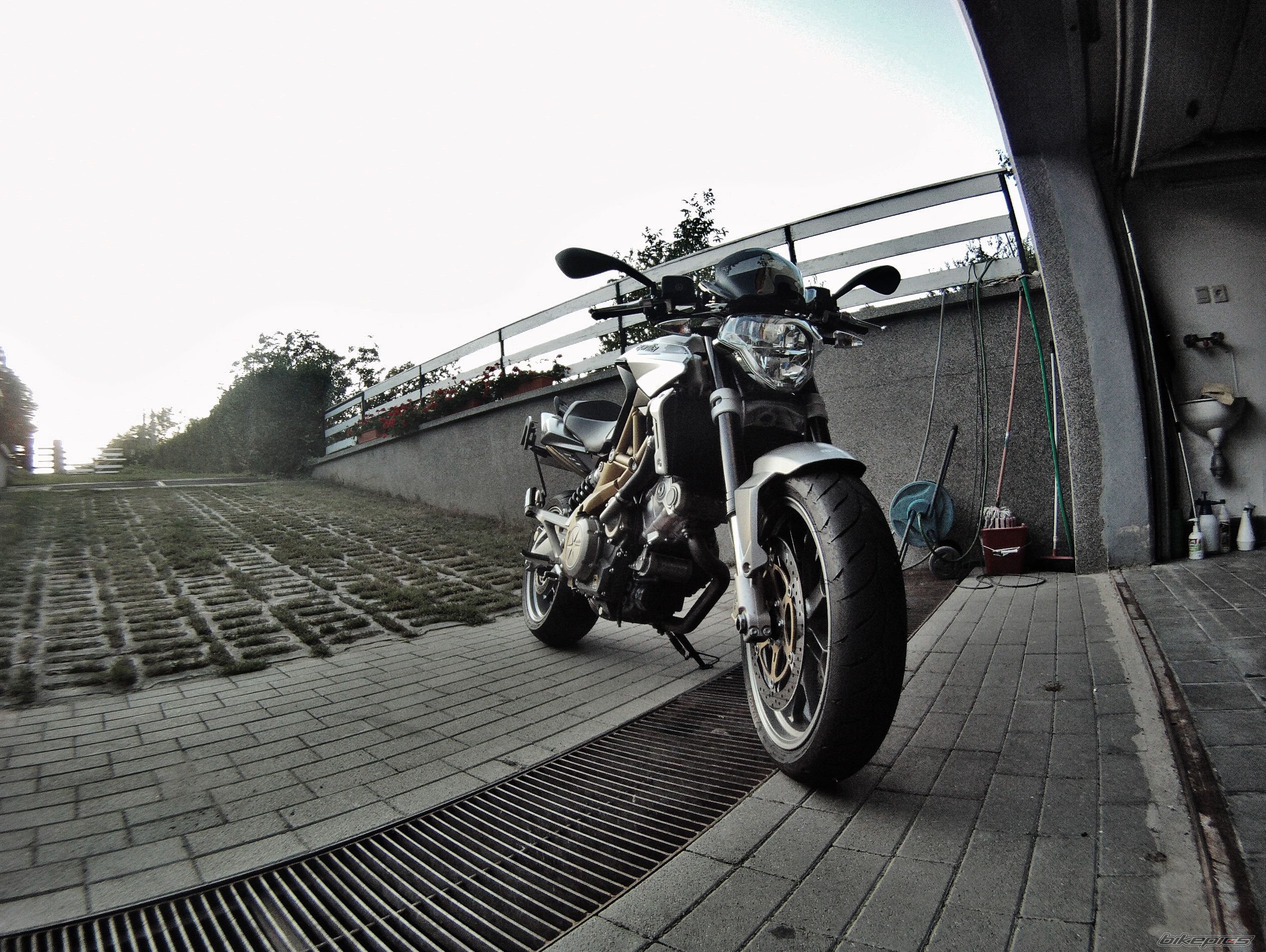 Photo 2275888