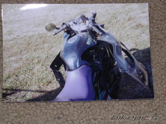 Photo 227595