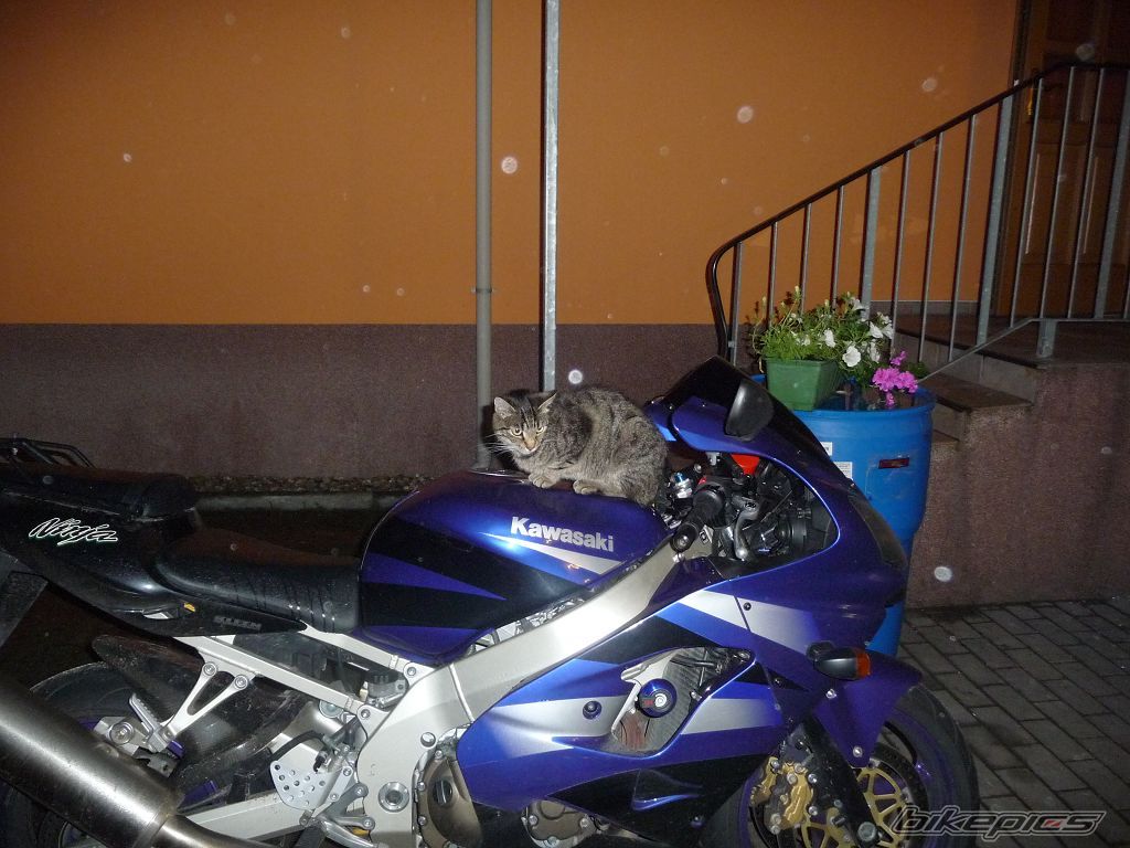 Photo 2275957