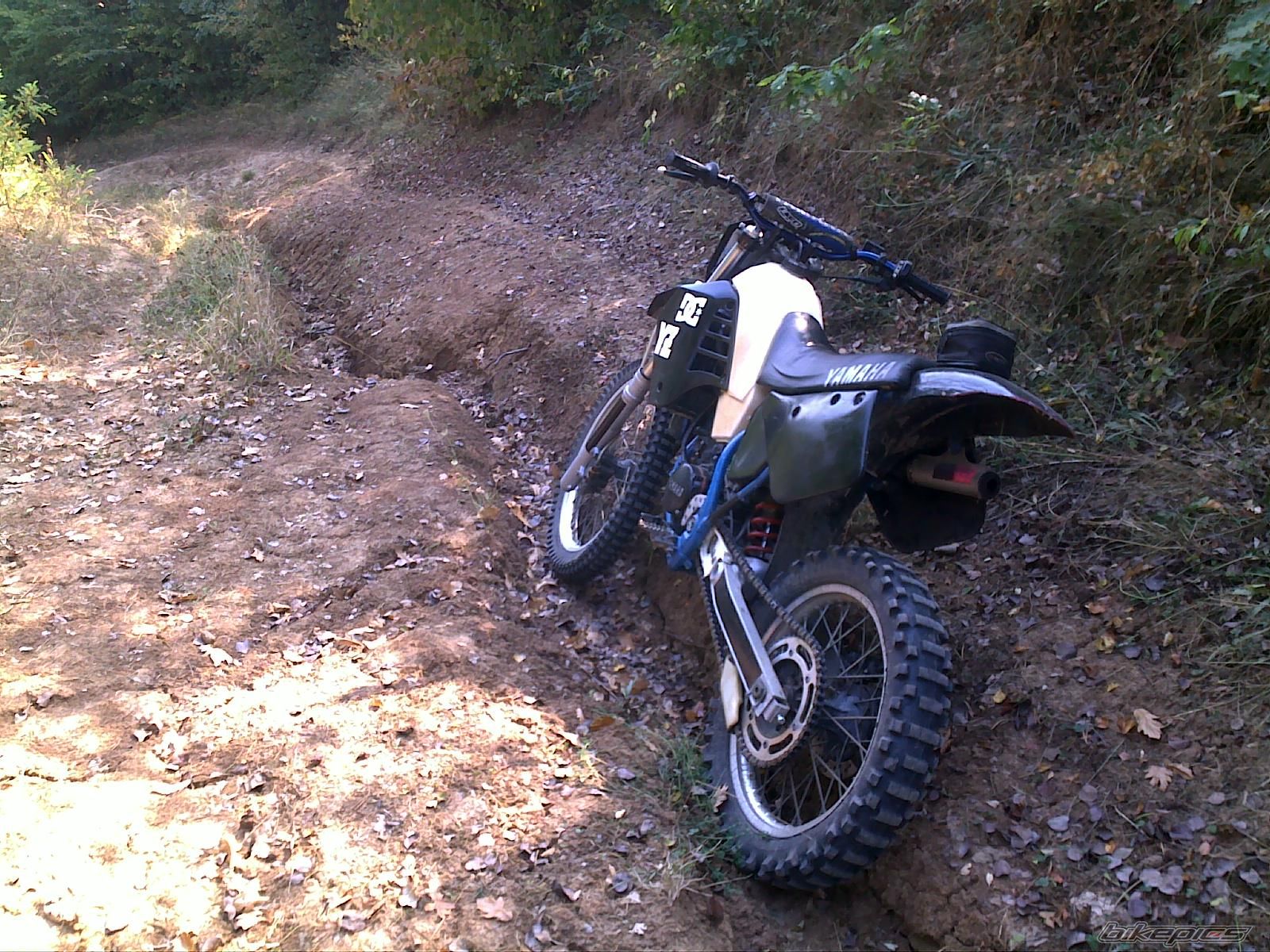 Photo 2275992