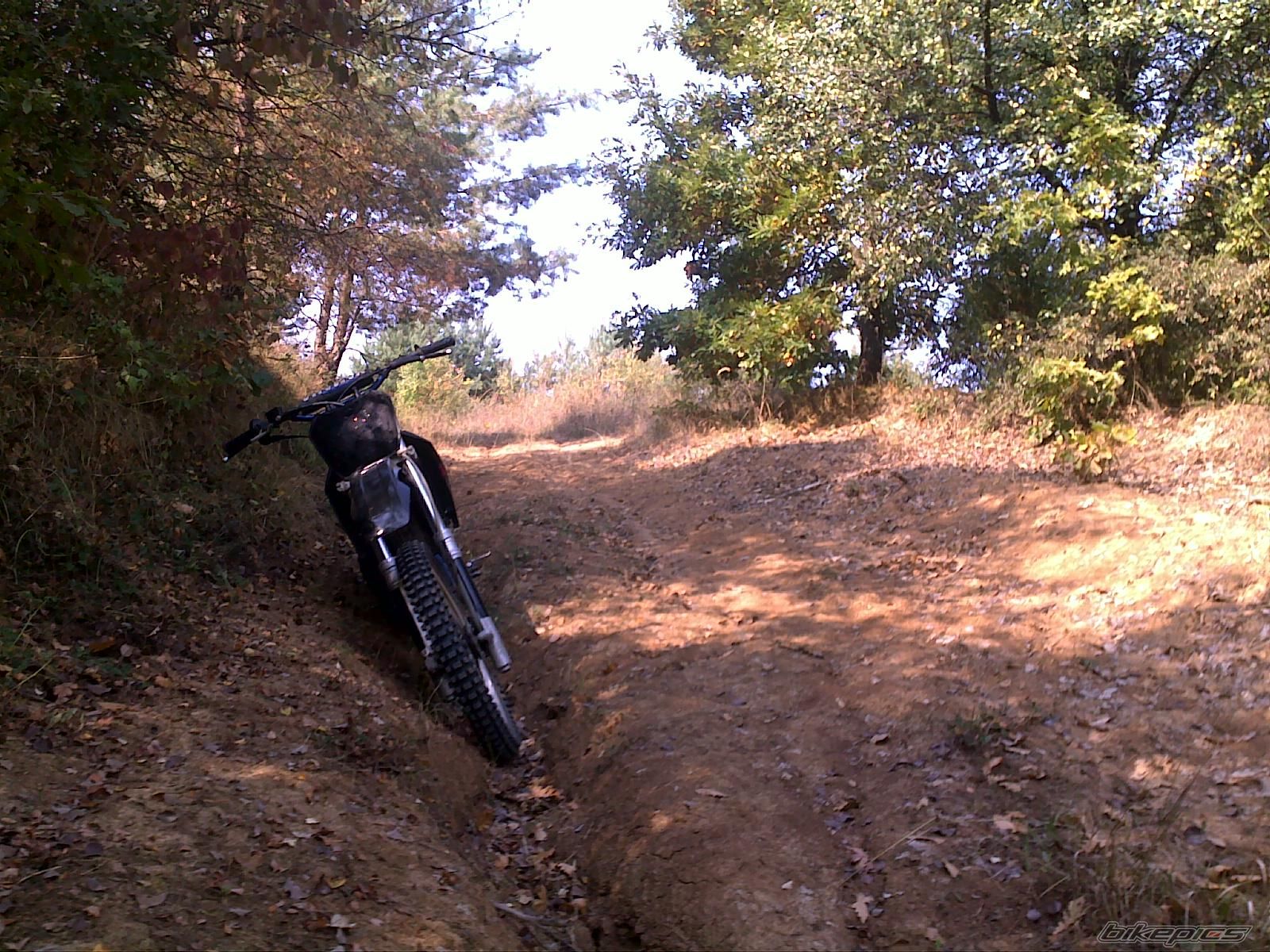 Photo 2275993