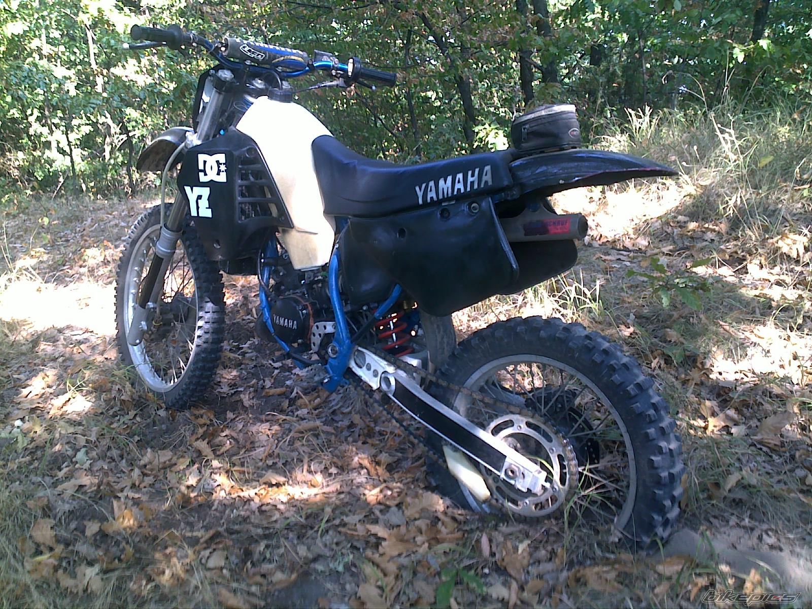 Photo 2275995
