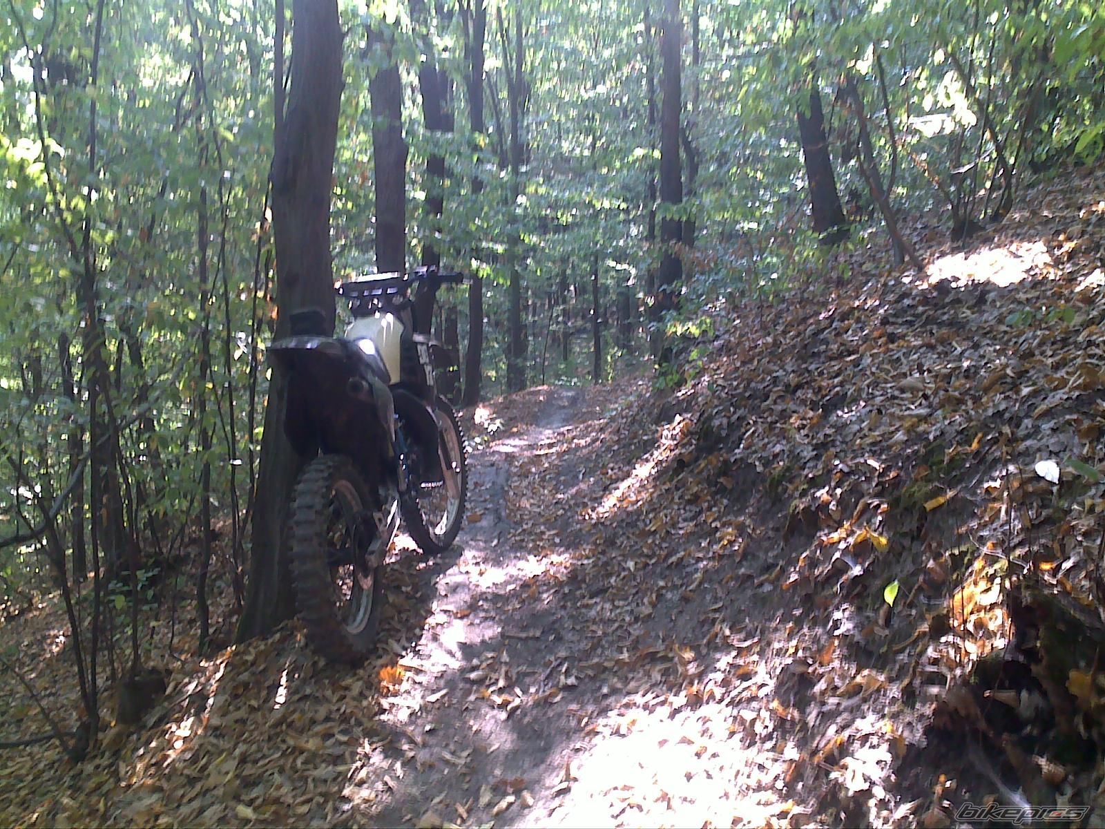 Photo 2275998
