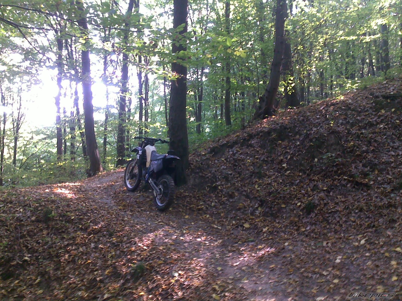 Photo 2275999
