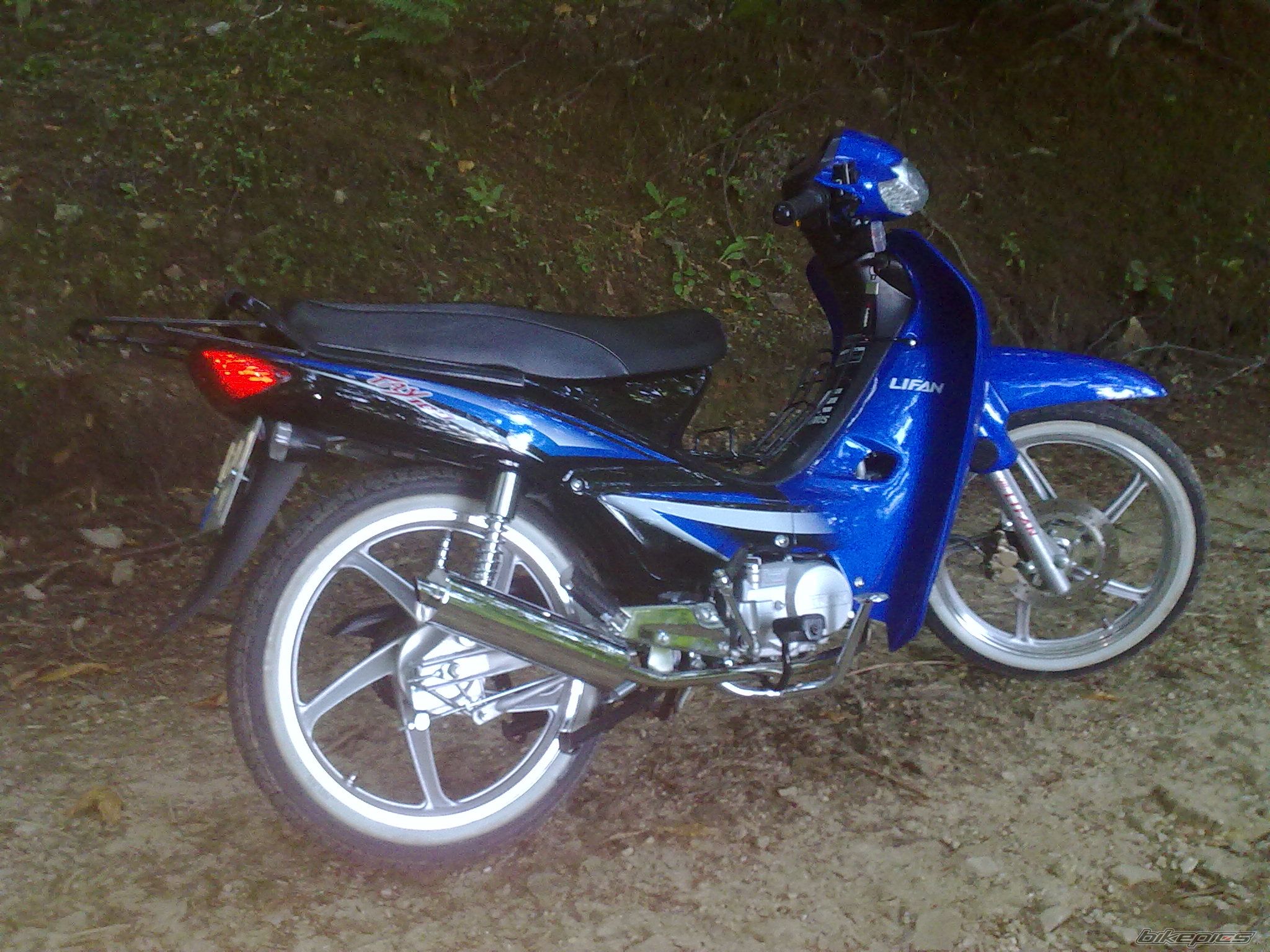 Photo 2276003