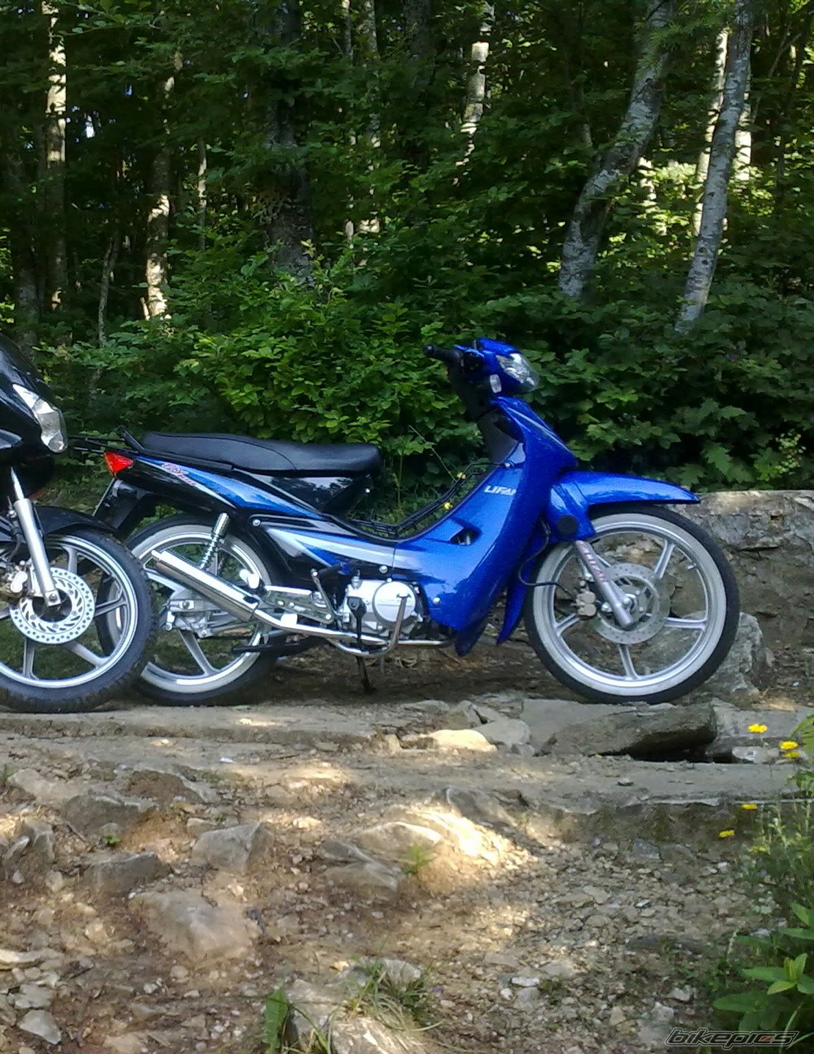 Photo 2276006