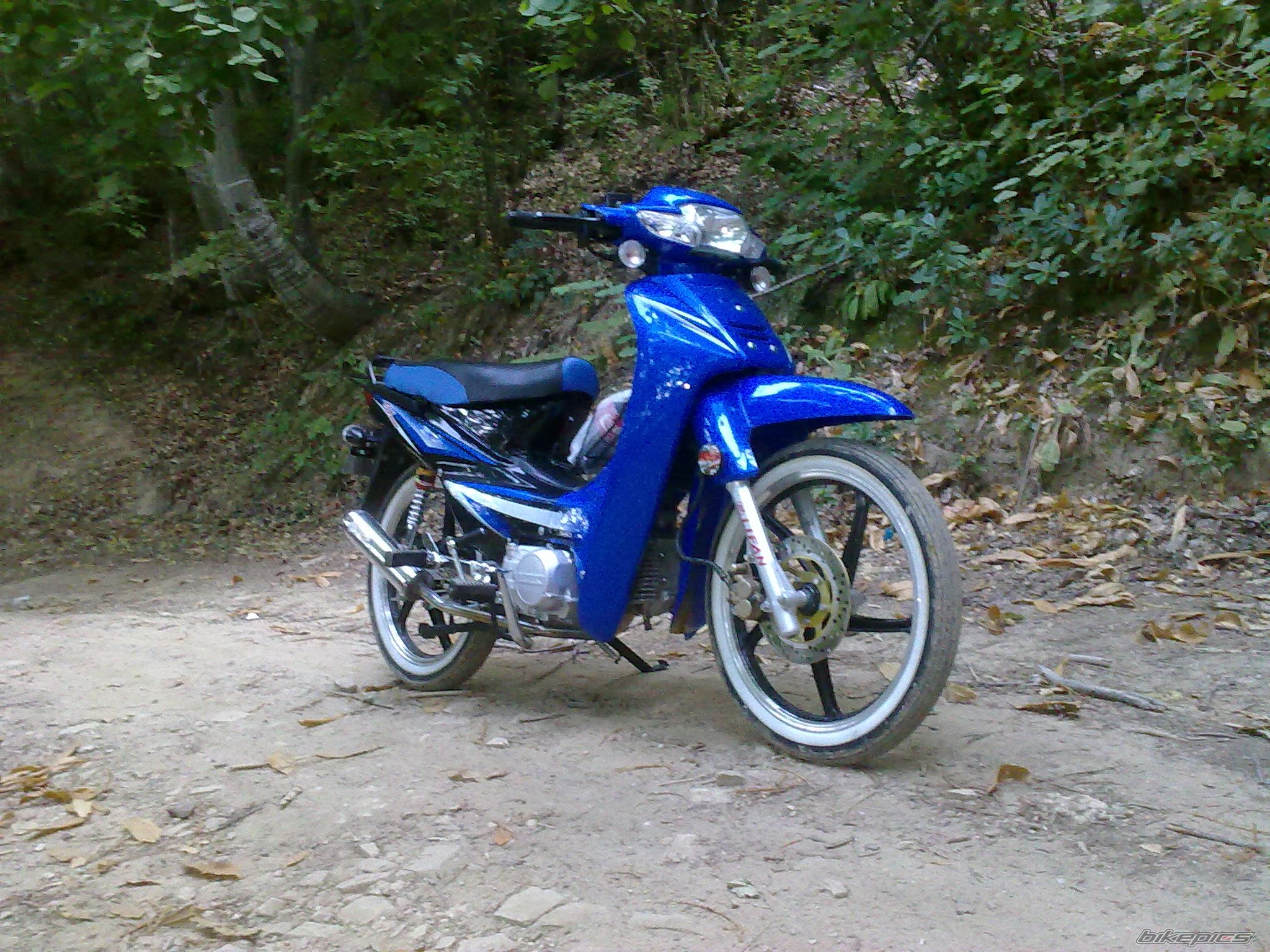 Photo 2276009