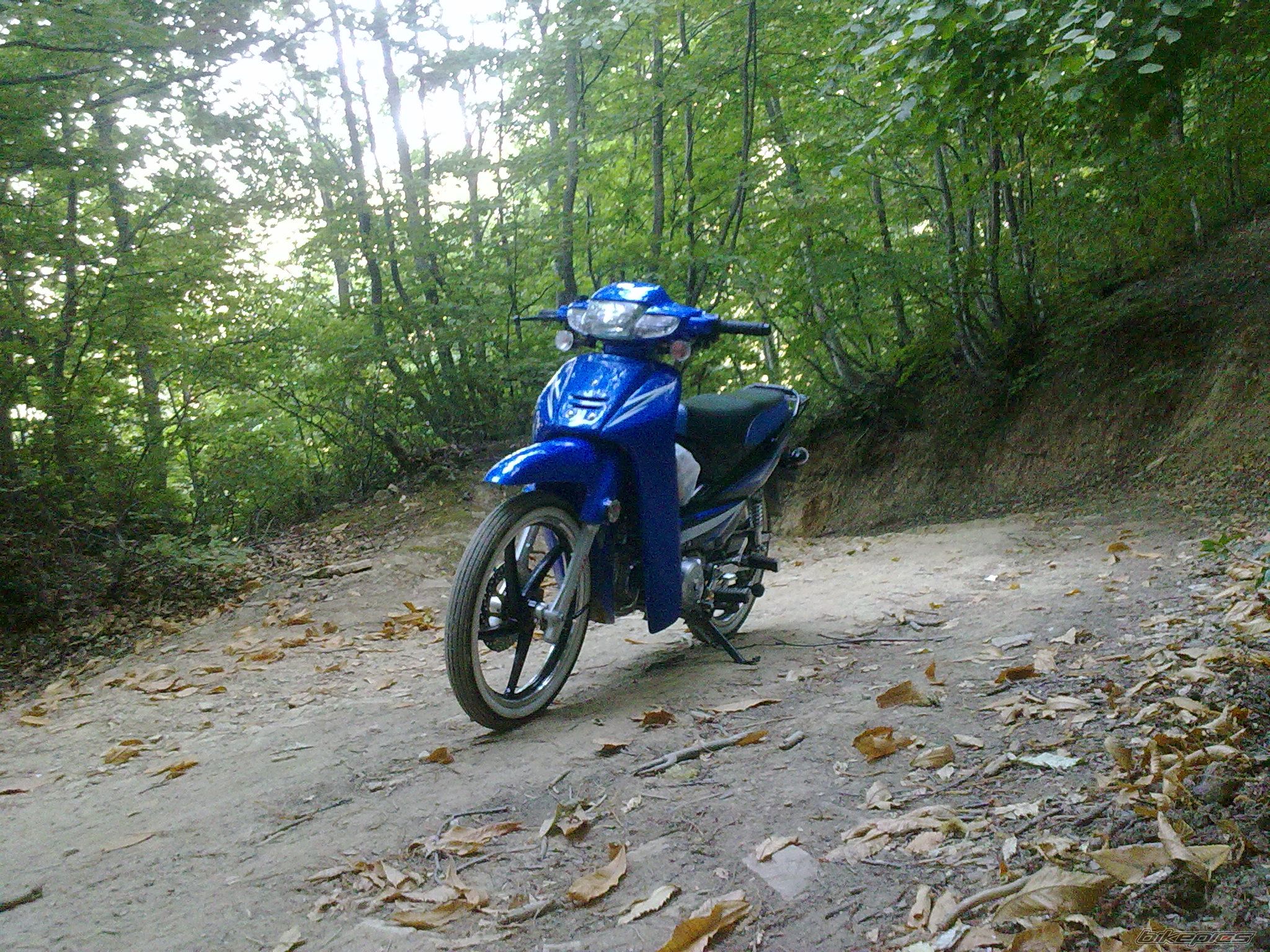 Photo 2276010