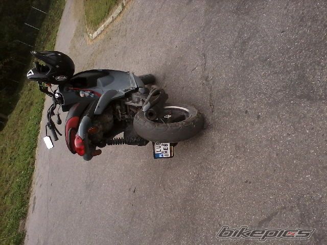 Photo 2276039