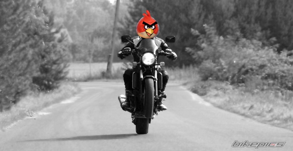 Bike Photo 2276099