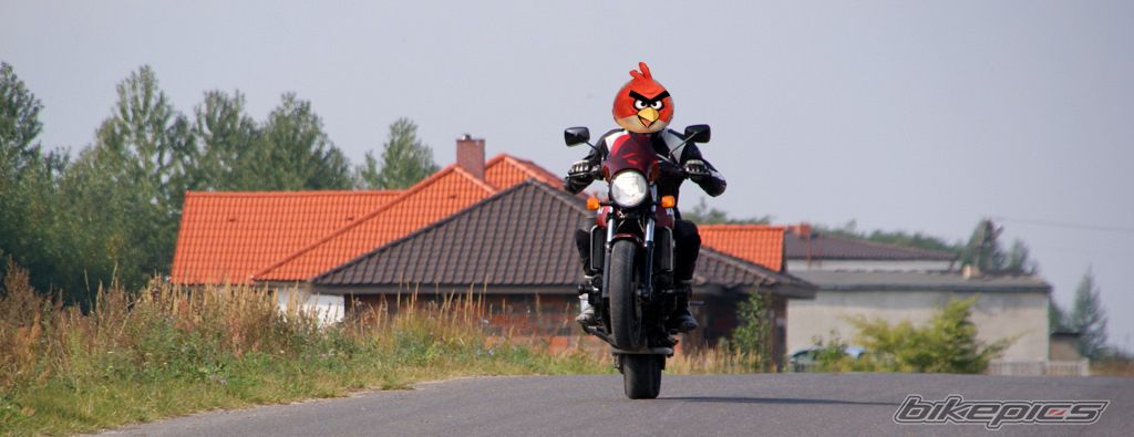 Bike Photo 2276104