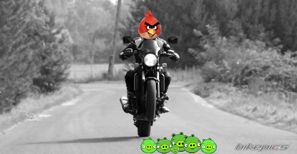 Bike Photo 2276114