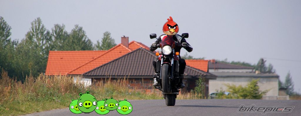 Bike Photo 2276115