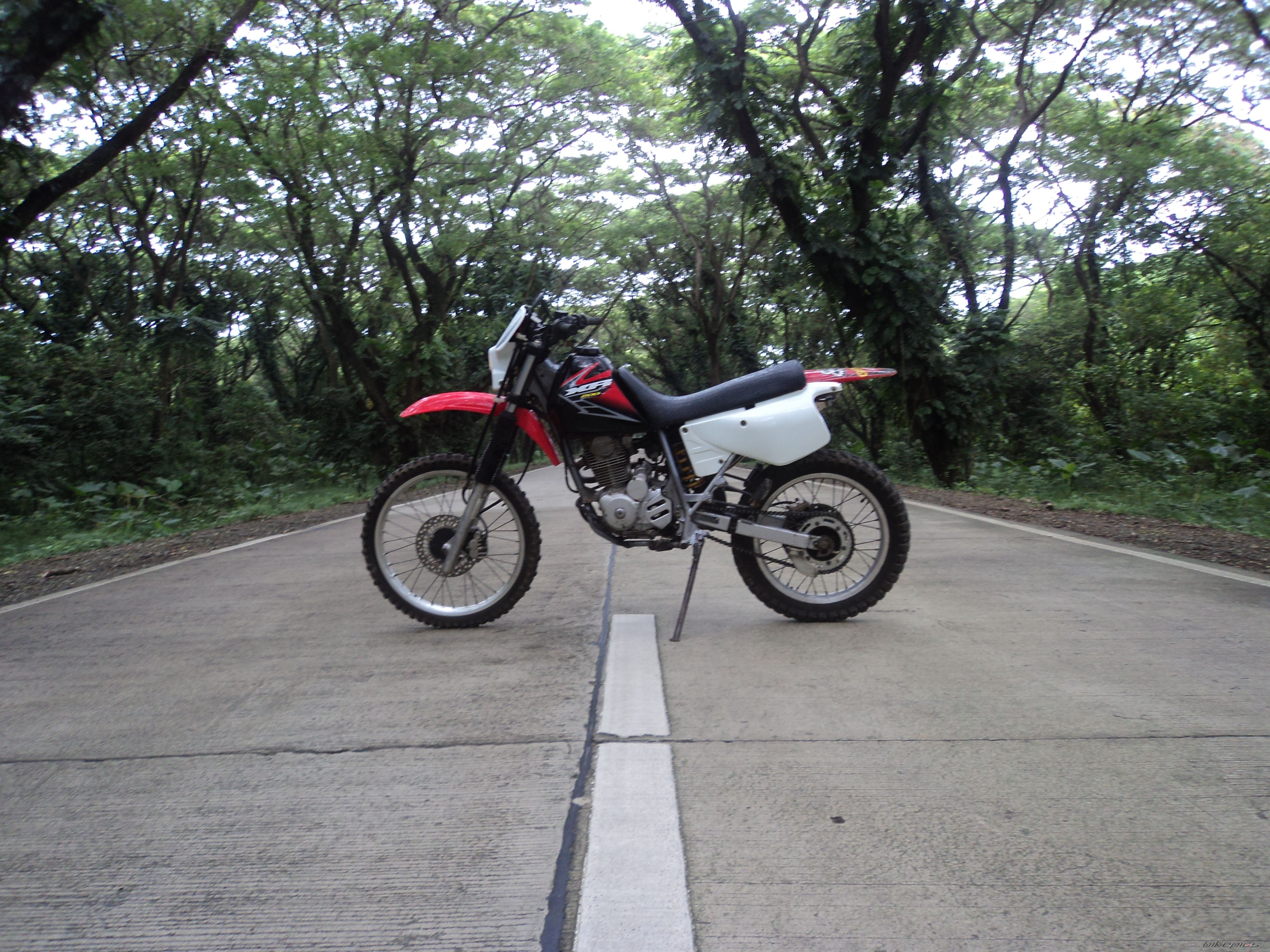Photo 2276135