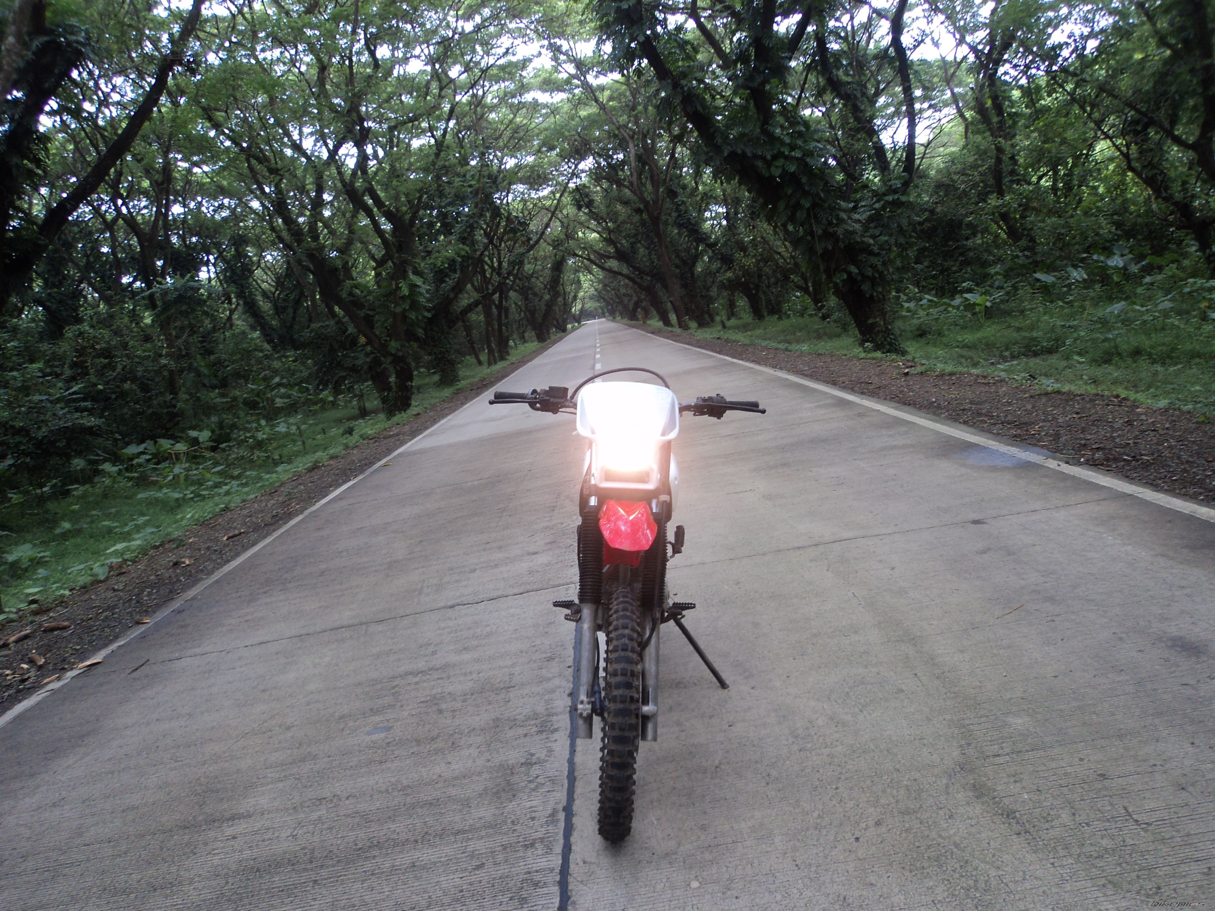 Photo 2276139