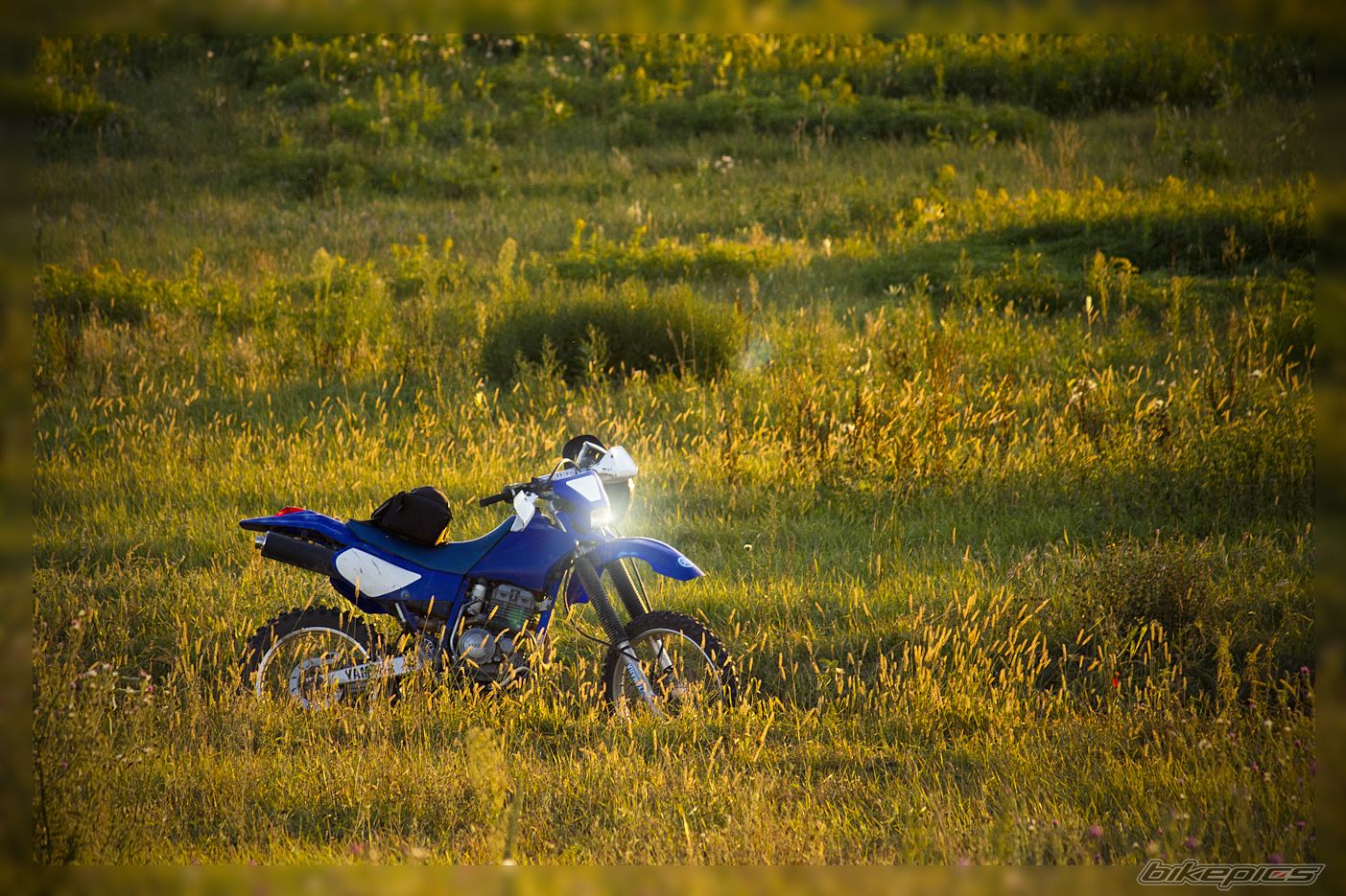 Photo 2276141