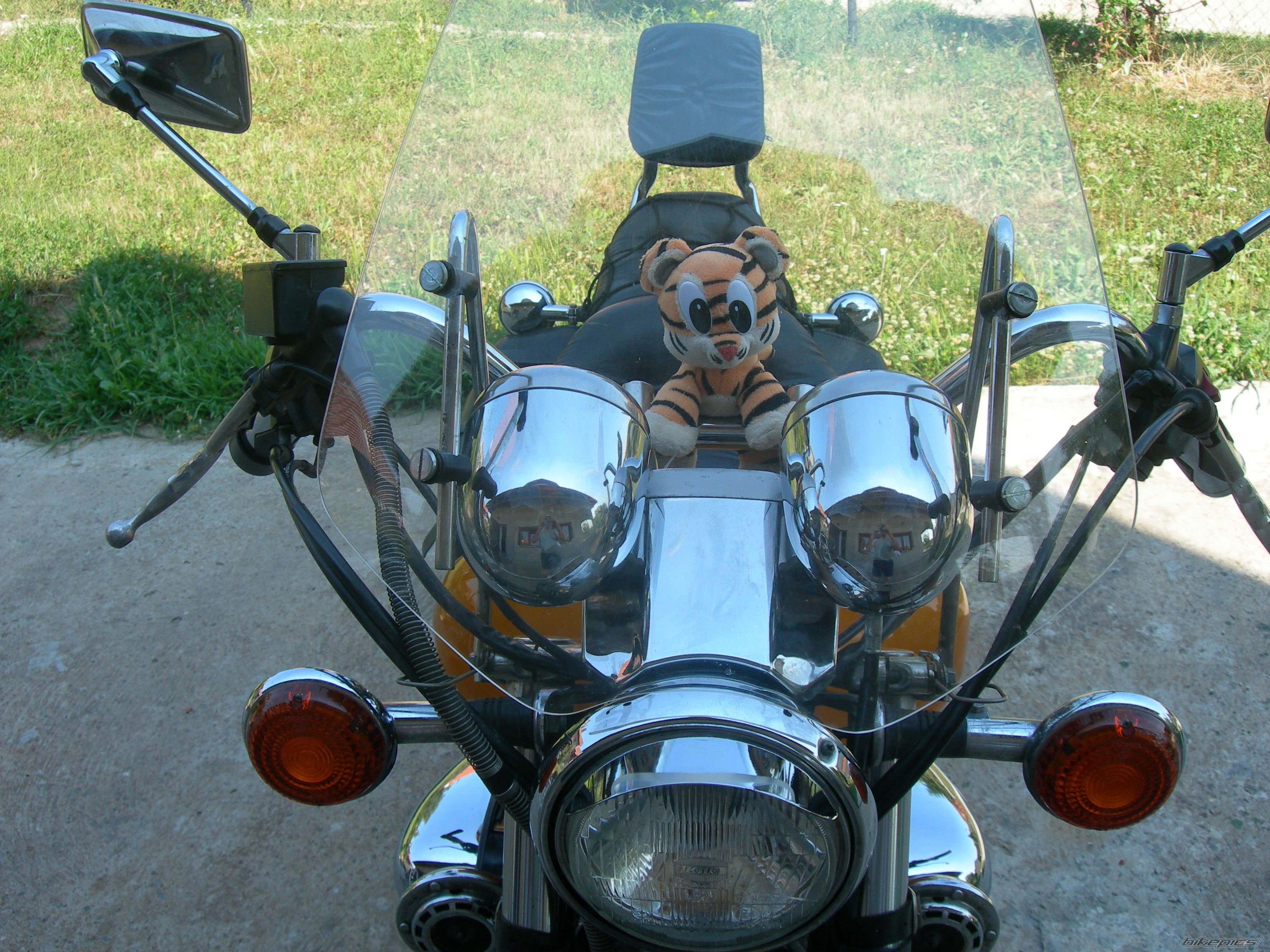Bike Photo 2276250