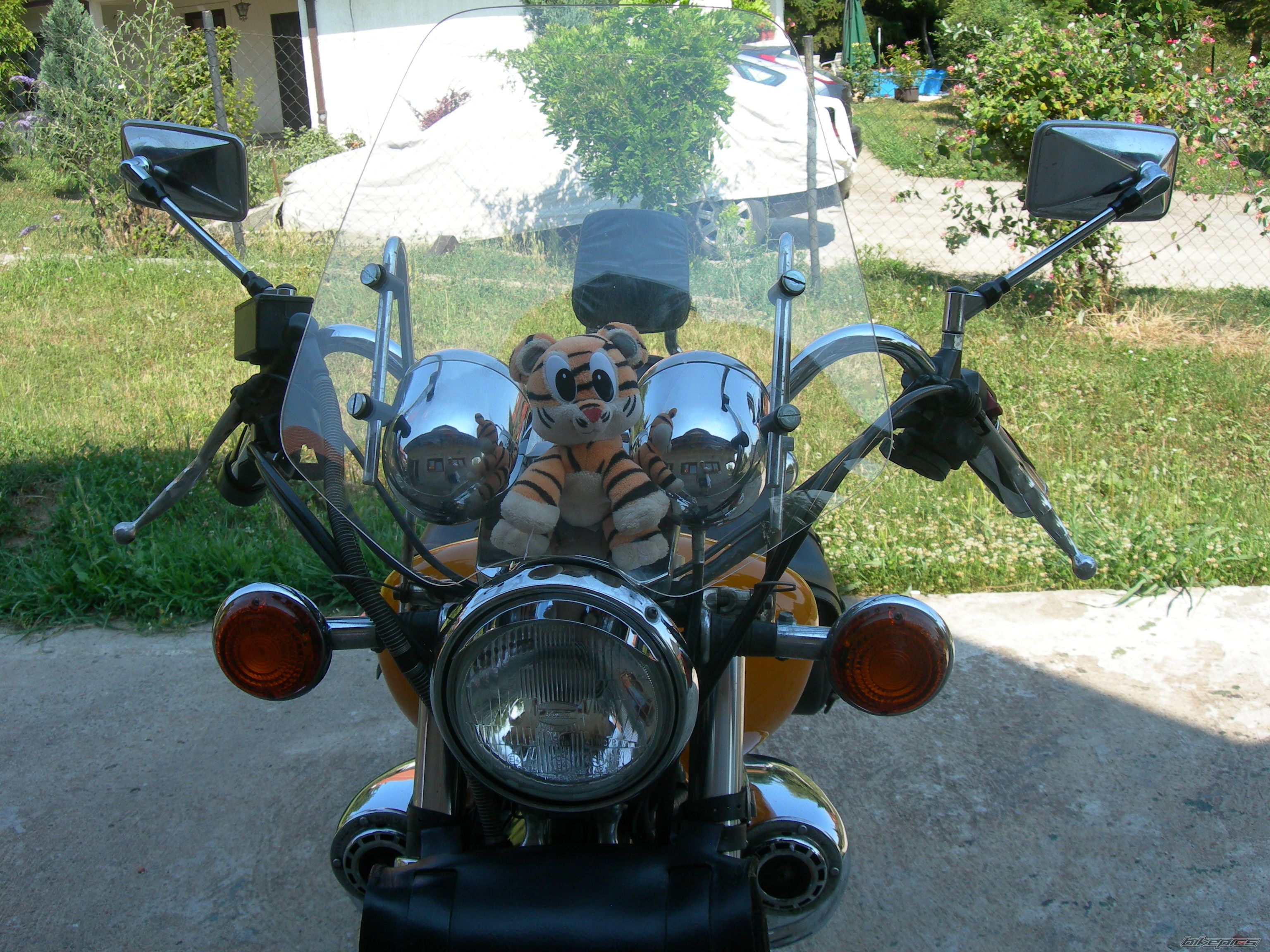 Bike Photo 2276254