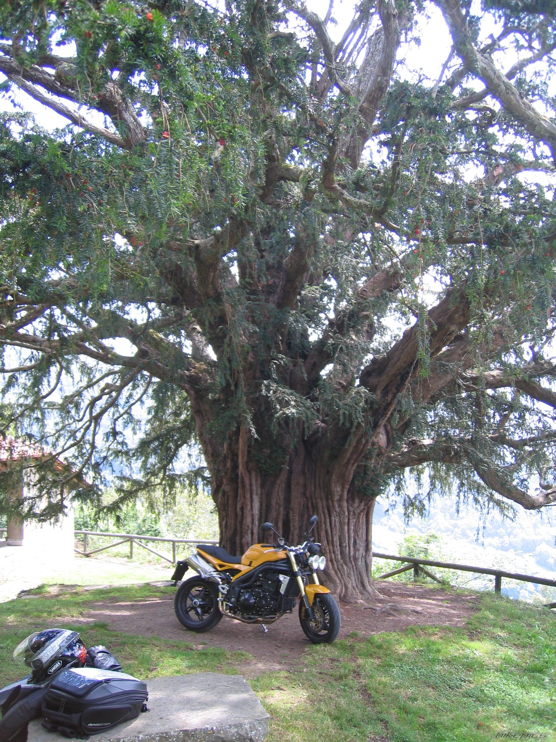 Photo 2276278