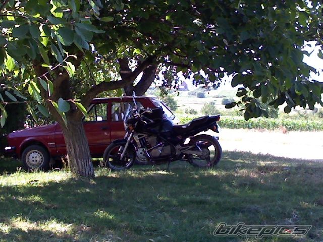 Photo 2276305