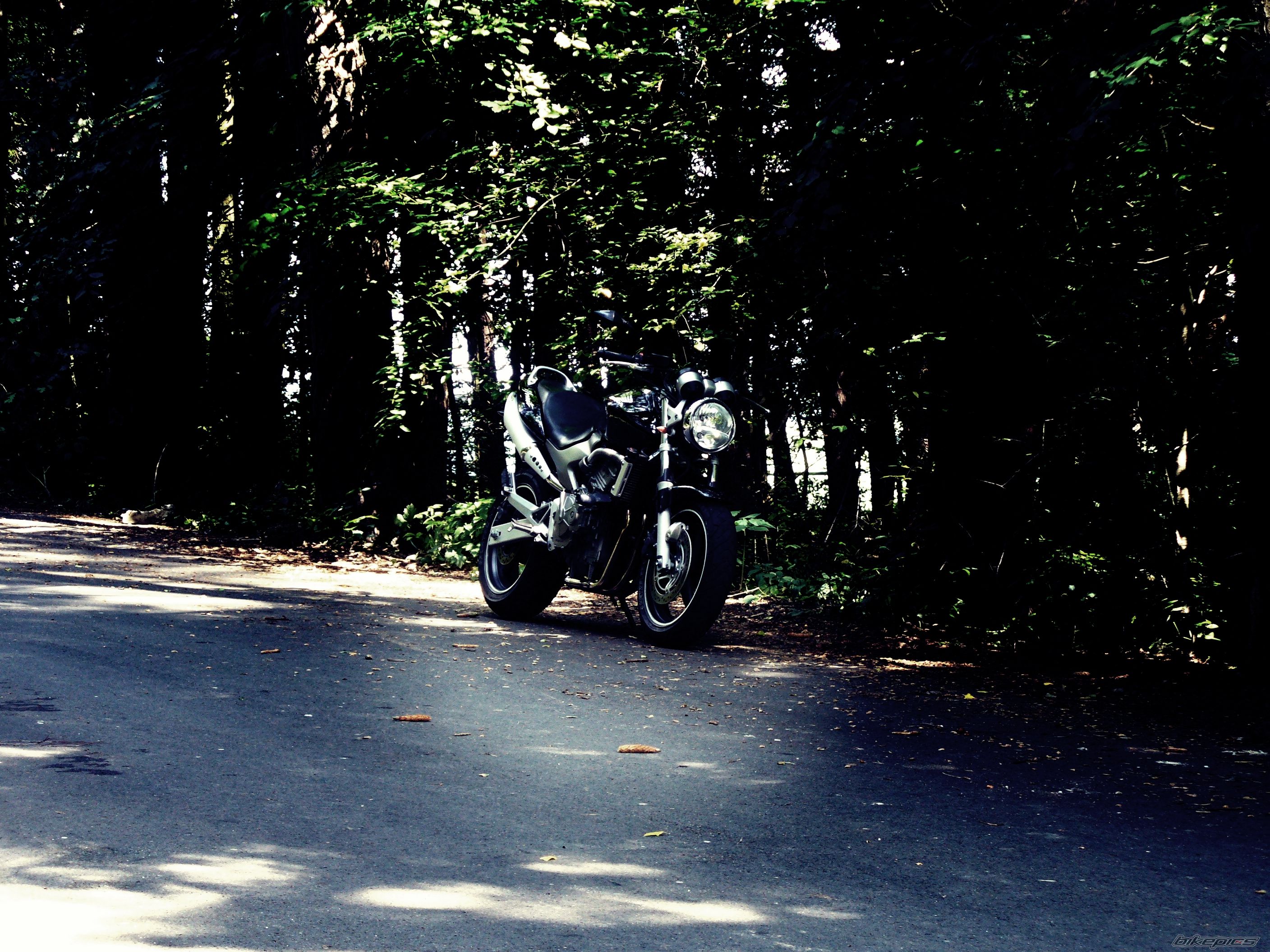 Photo 2276346