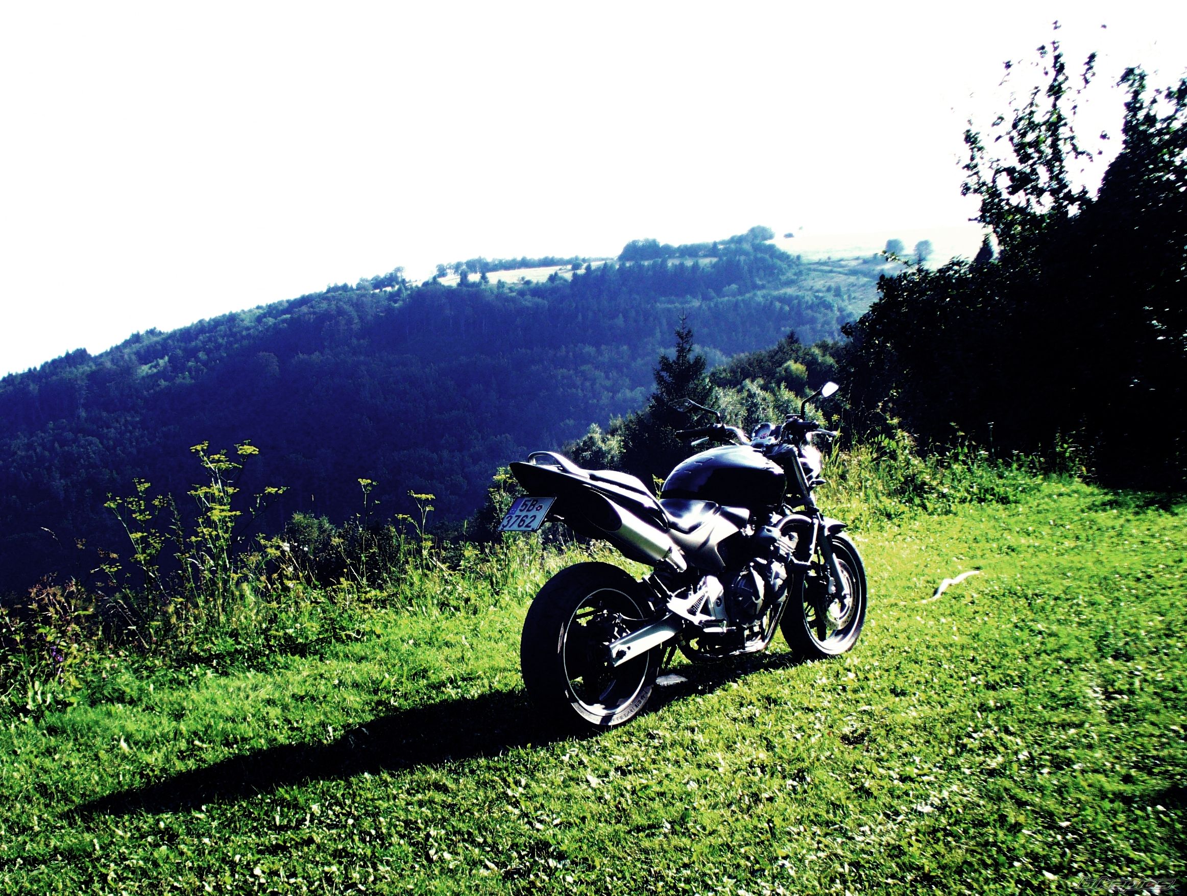Photo 2276350