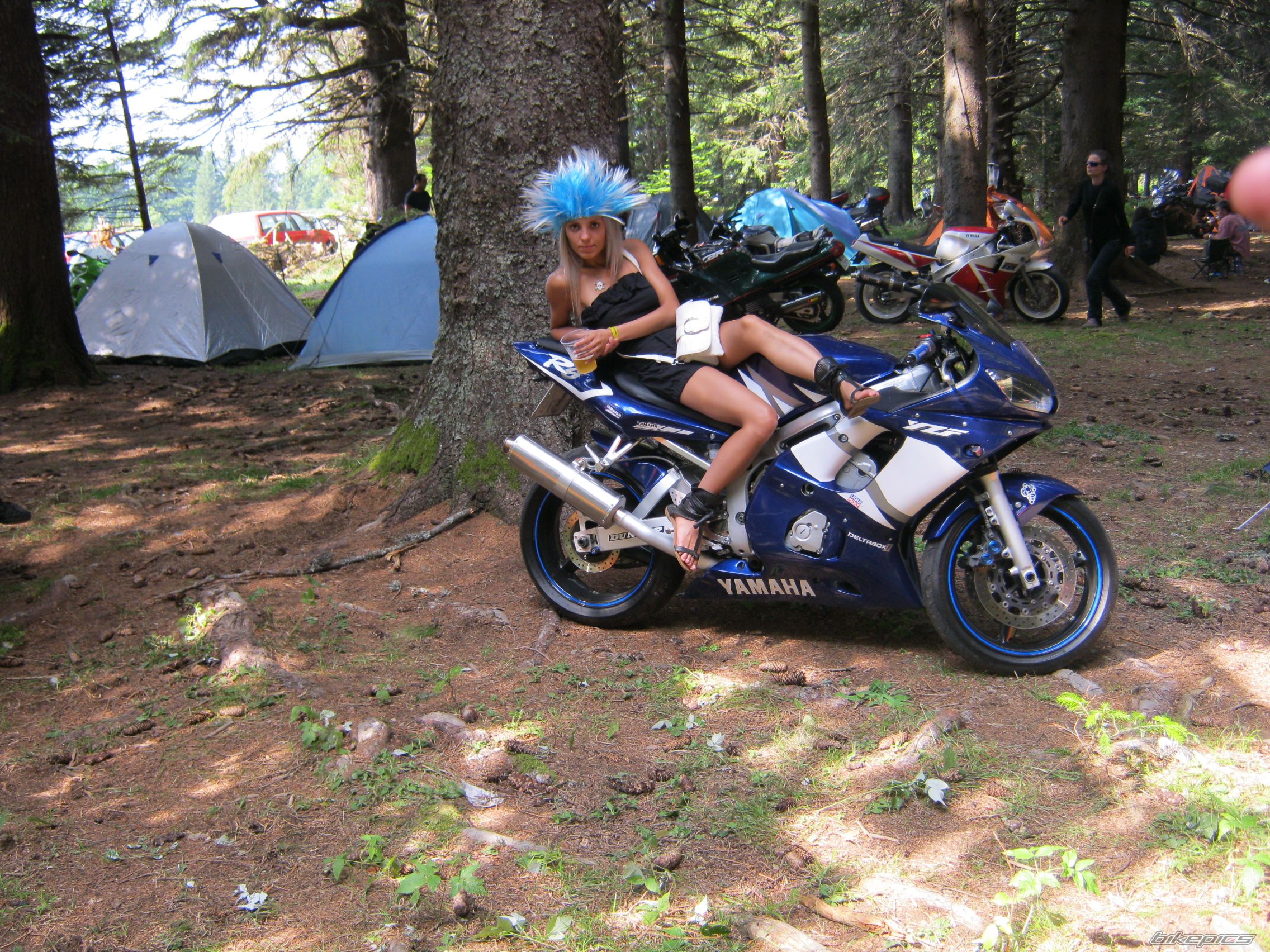 Photo 2276361