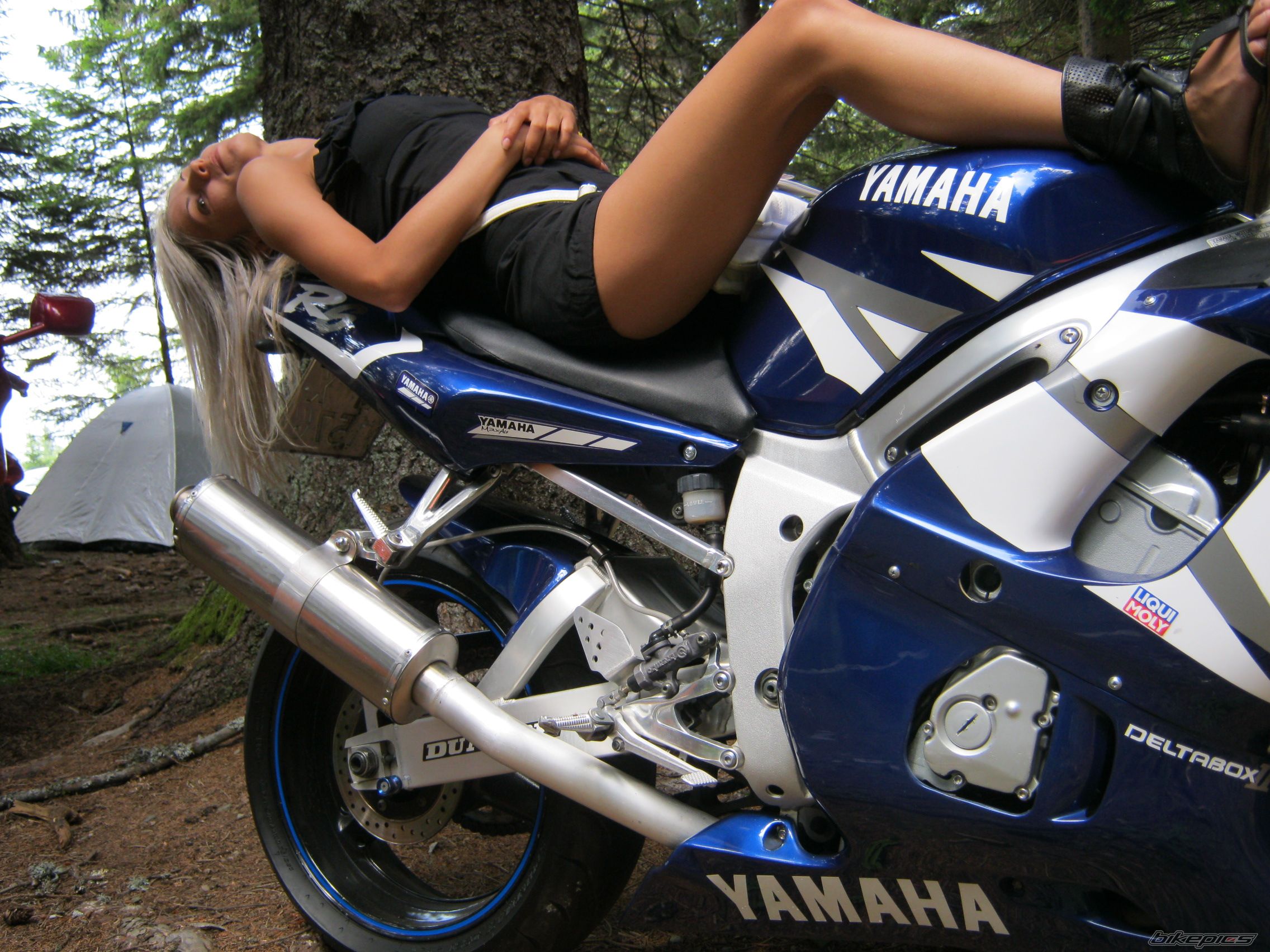 Photo 2276362