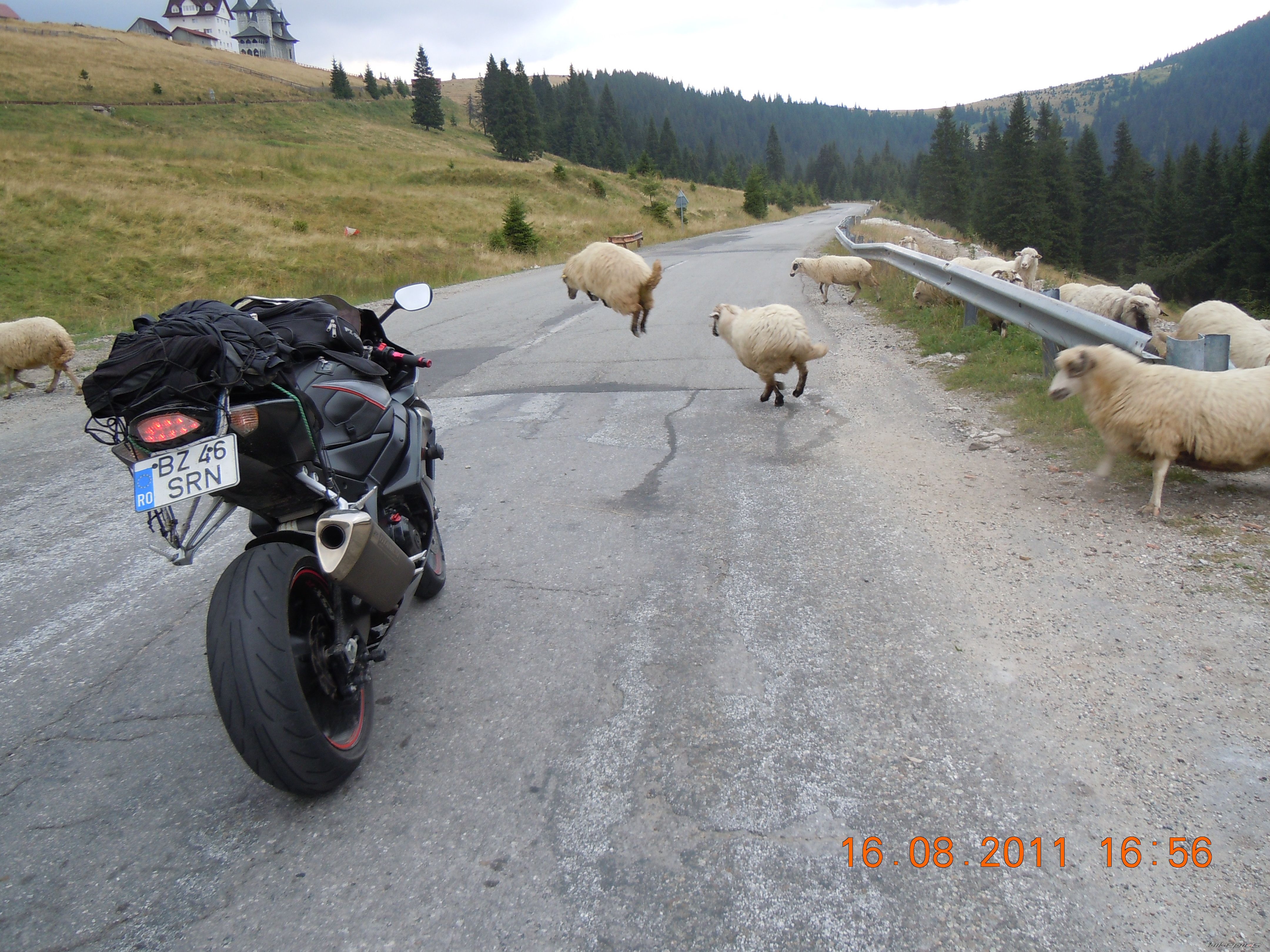 Photo 2276398