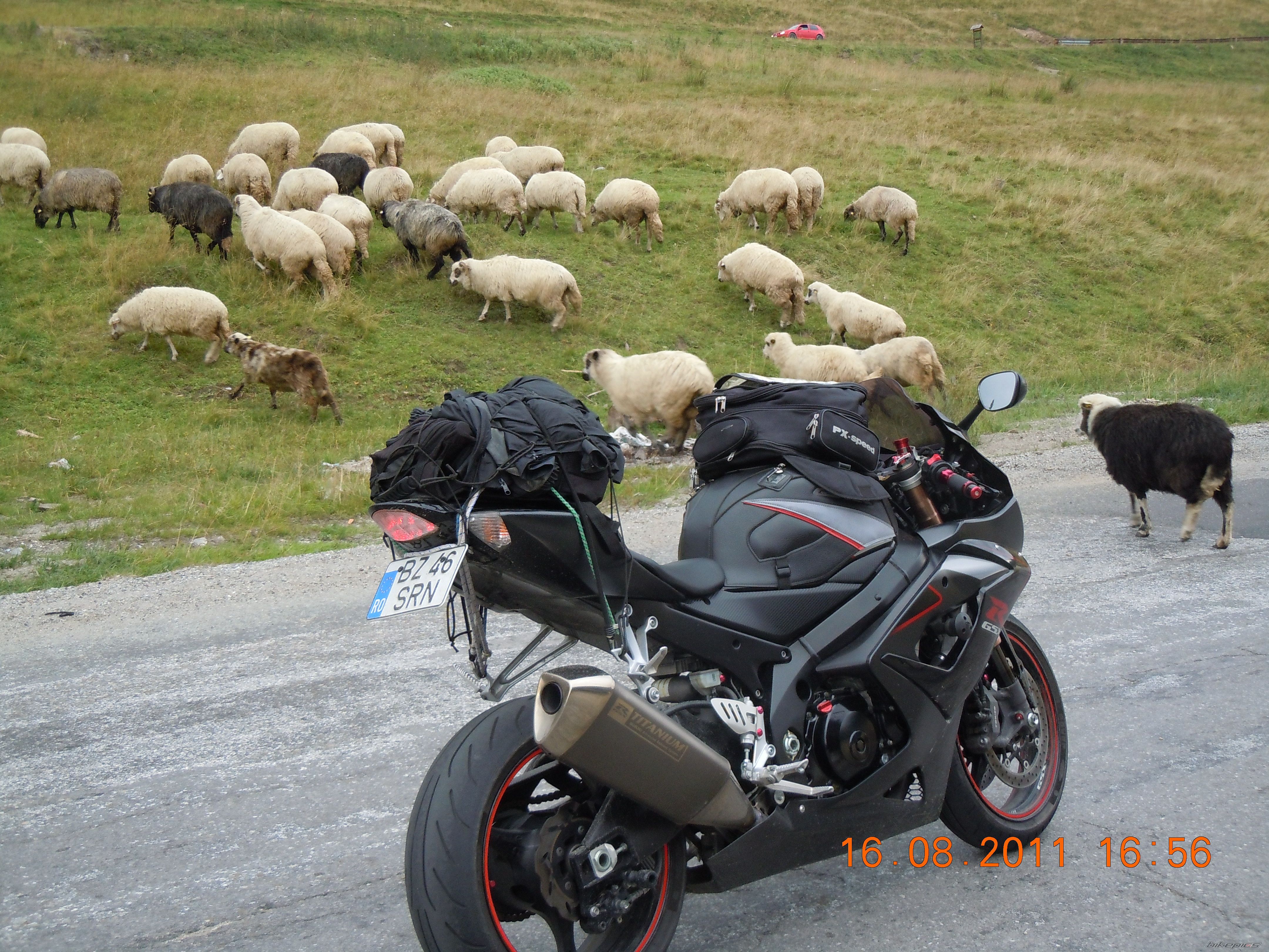 Photo 2276399