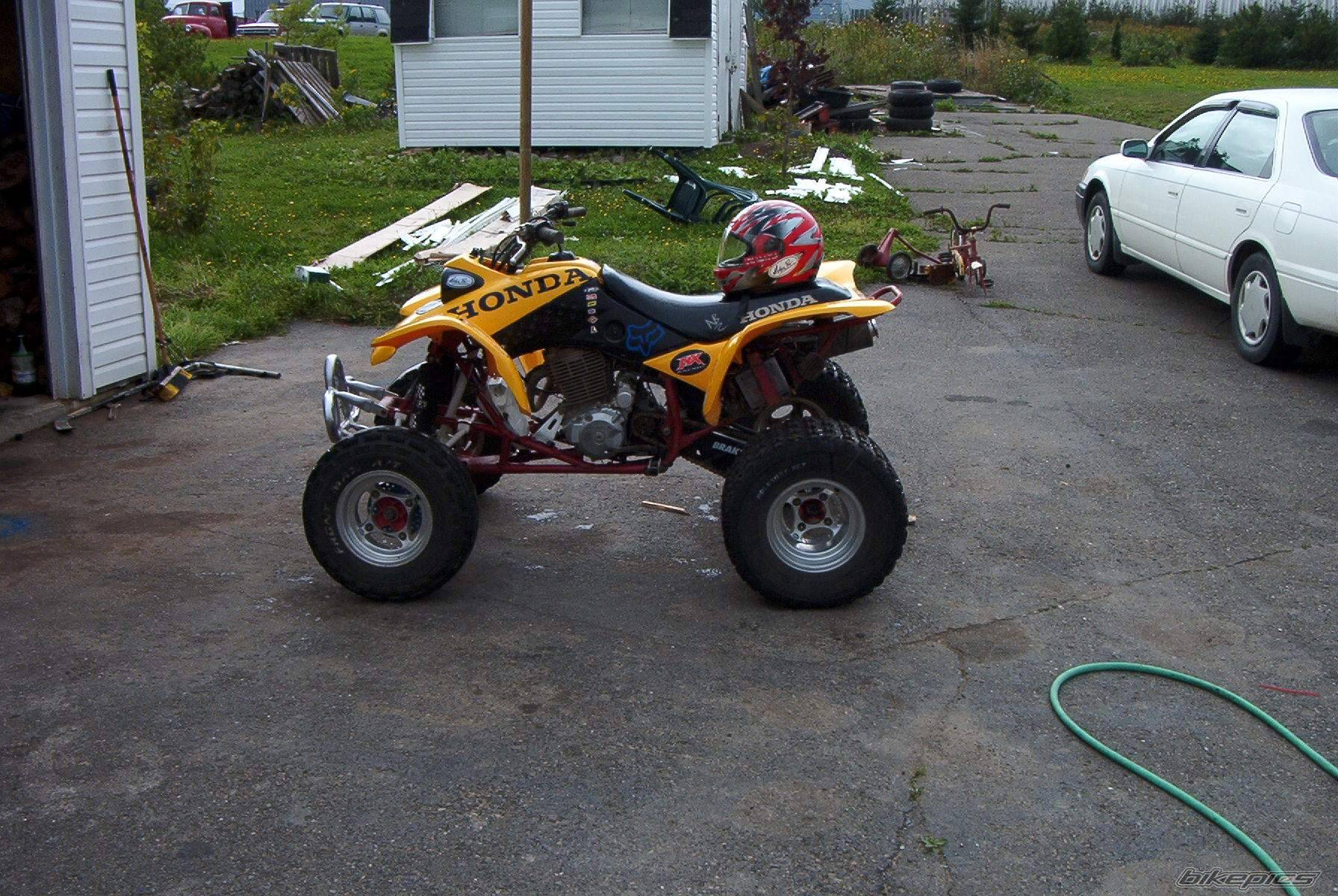 Photo 227643