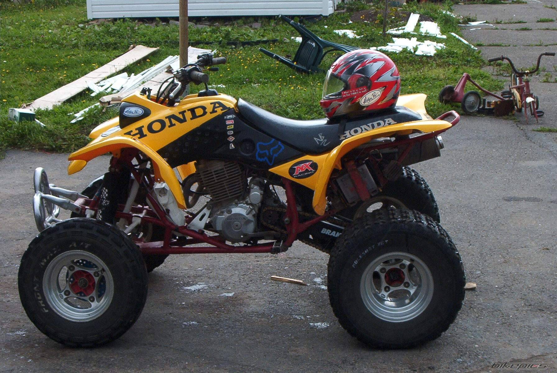 Photo 227644