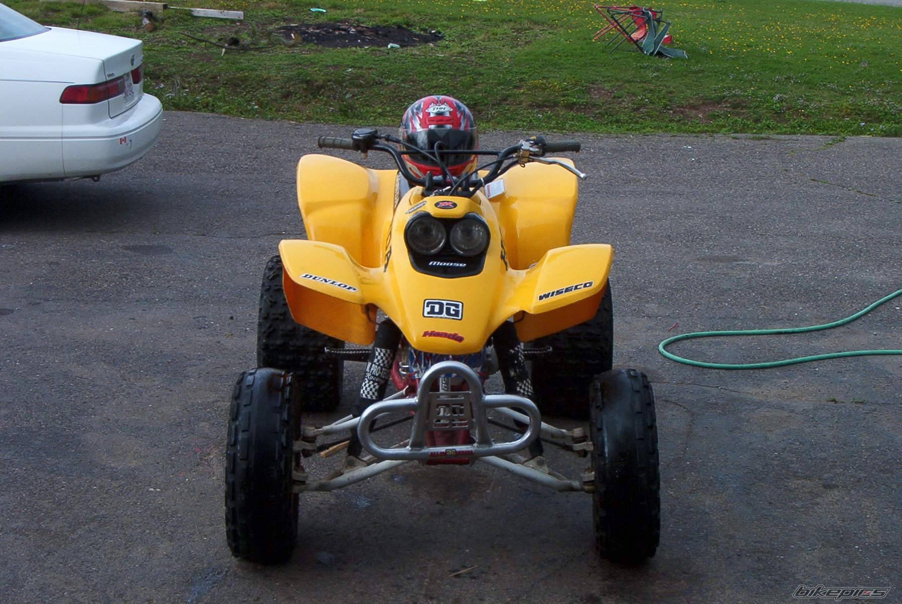 Photo 227646
