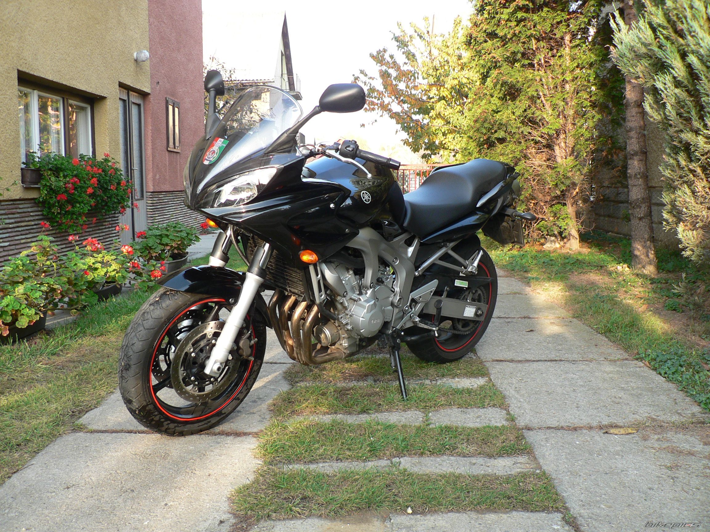 Photo 2276465