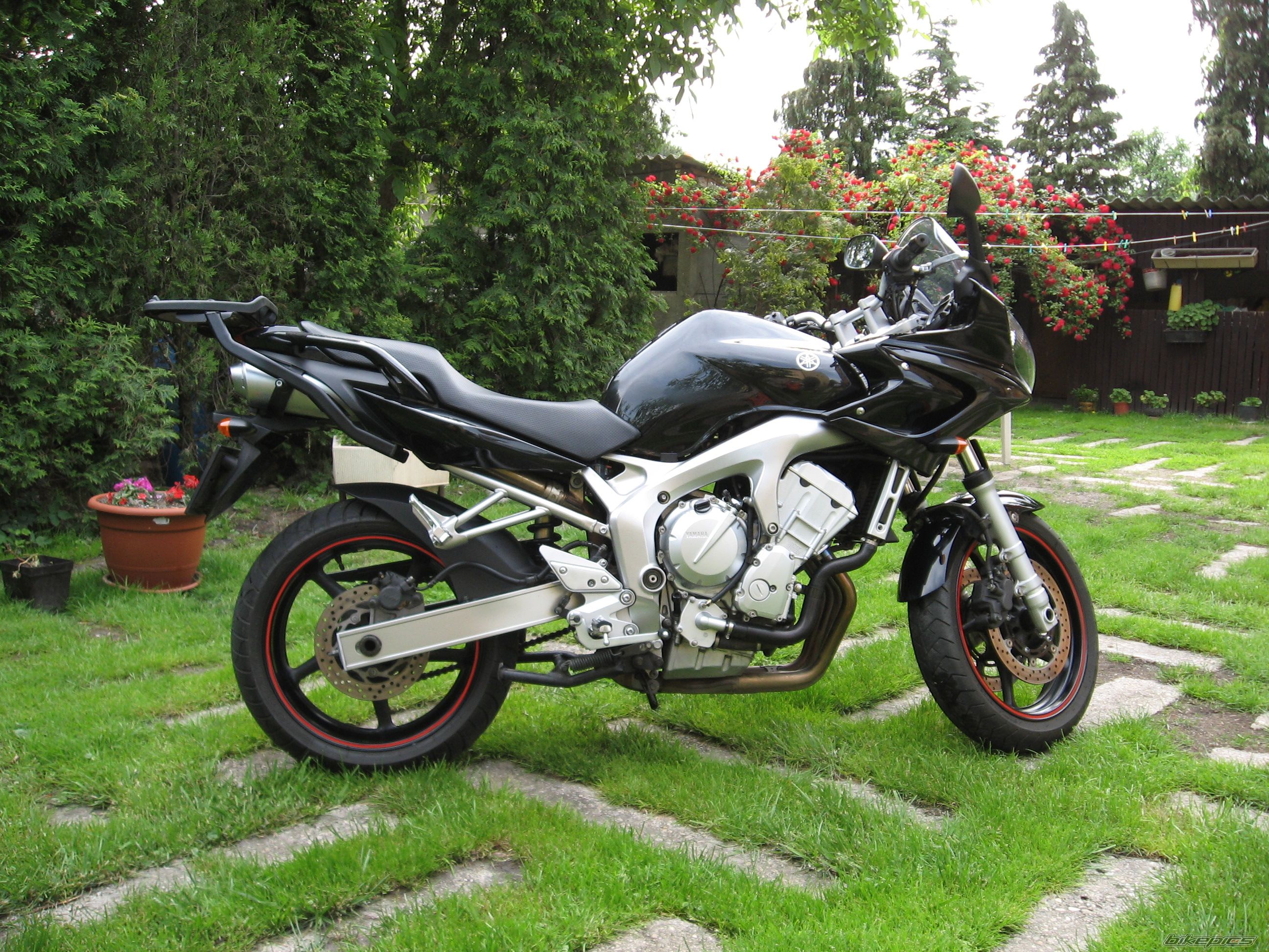 Photo 2276467
