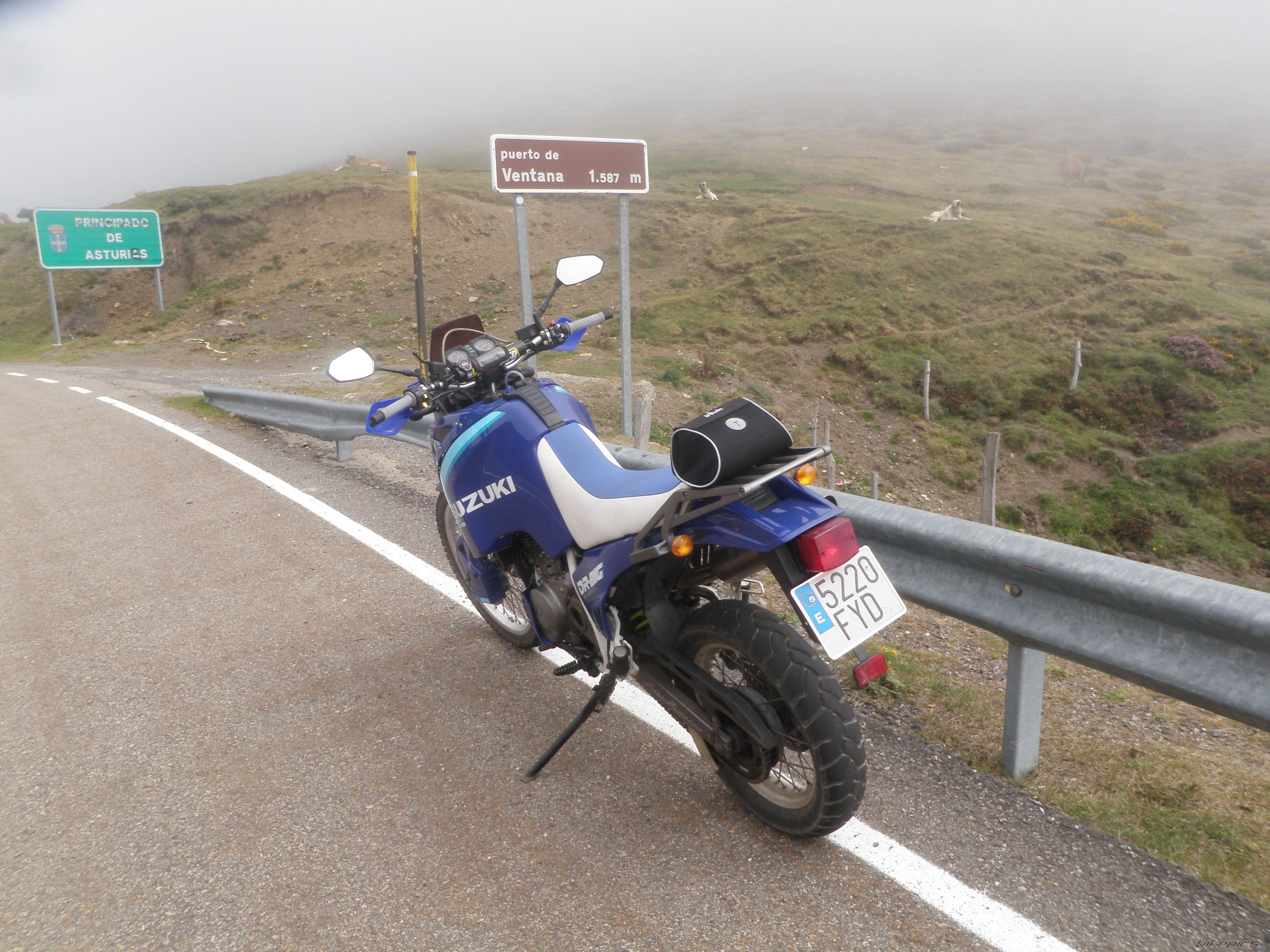 Photo 2276469
