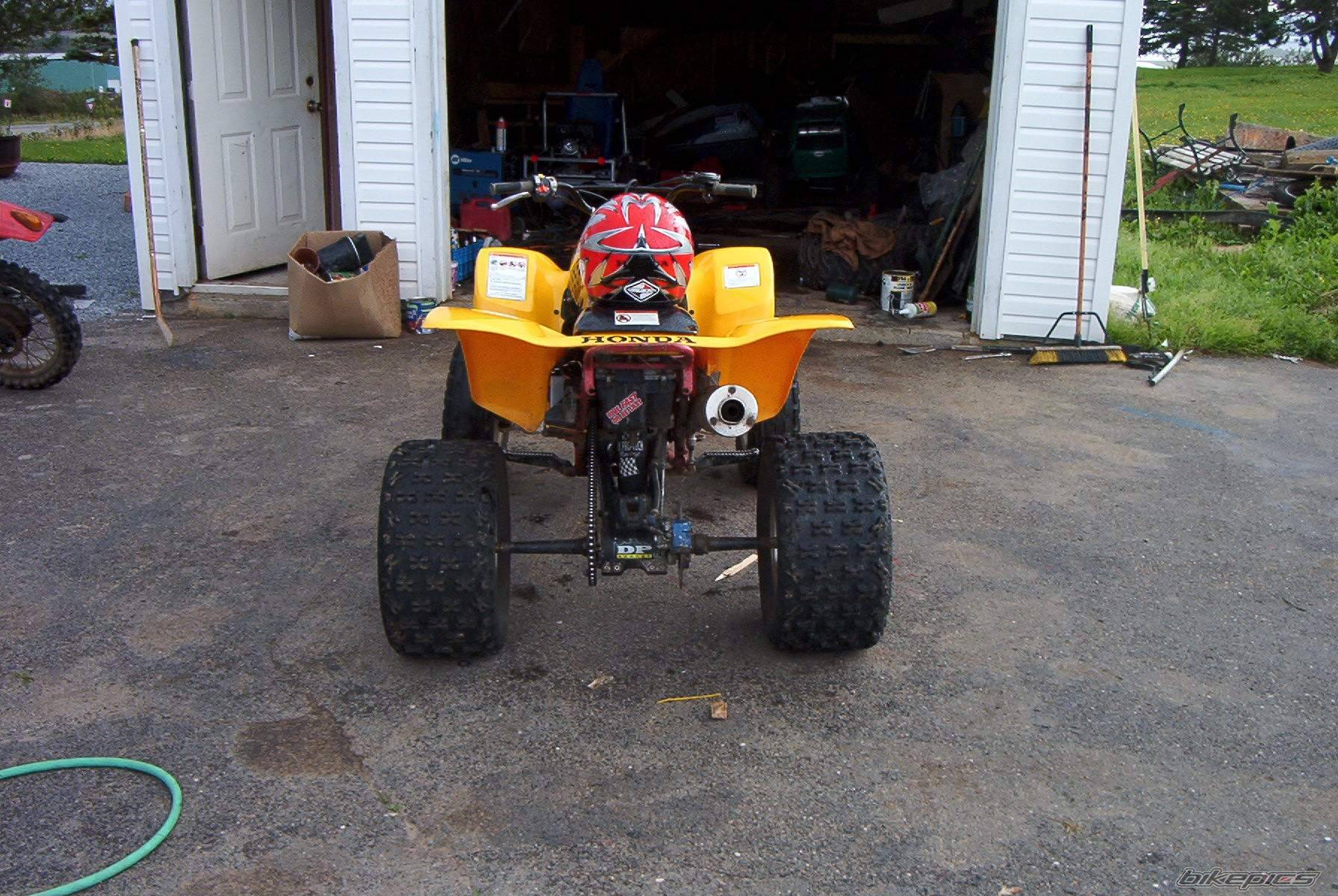Photo 227647