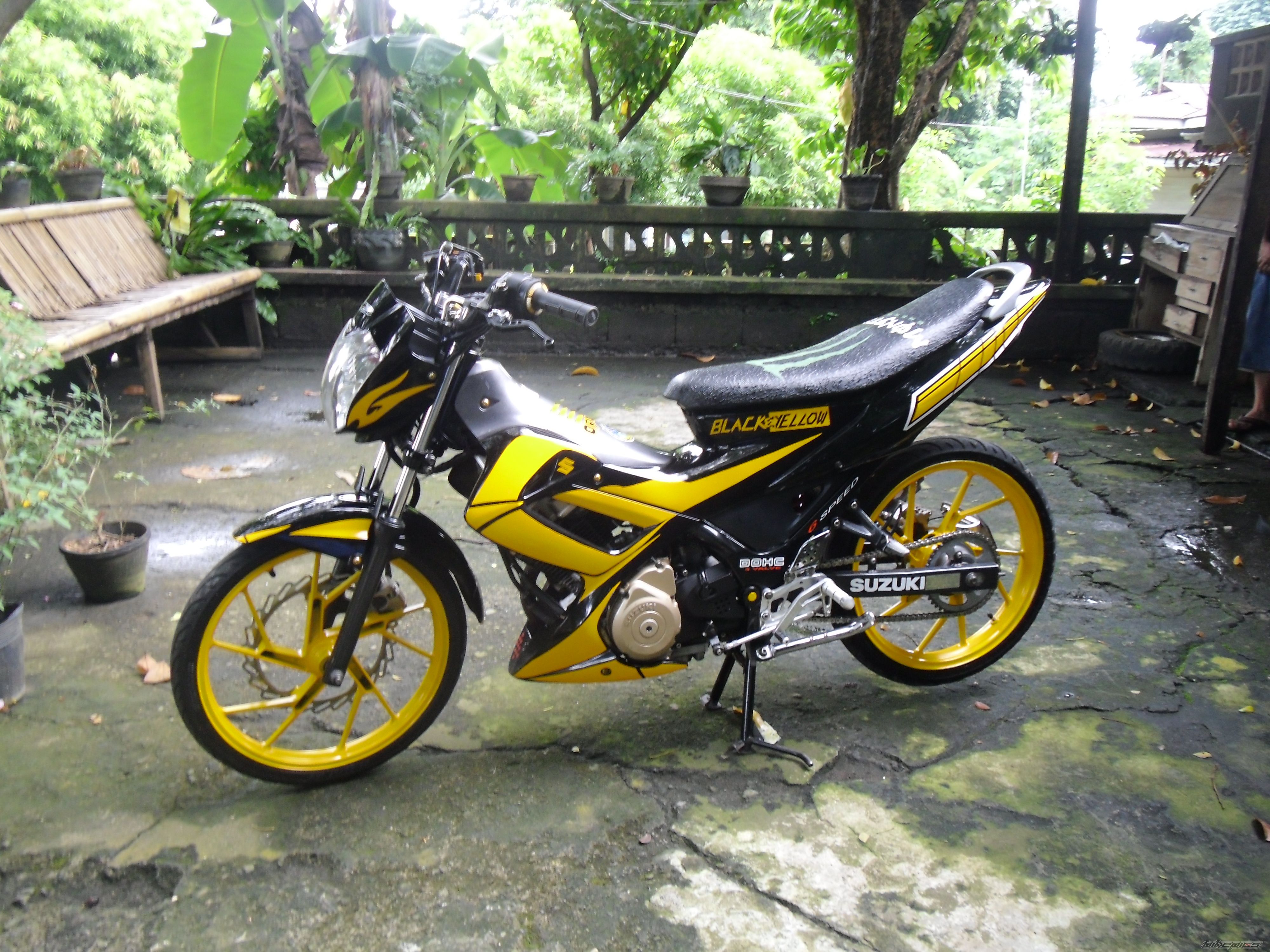 Photo 2276513