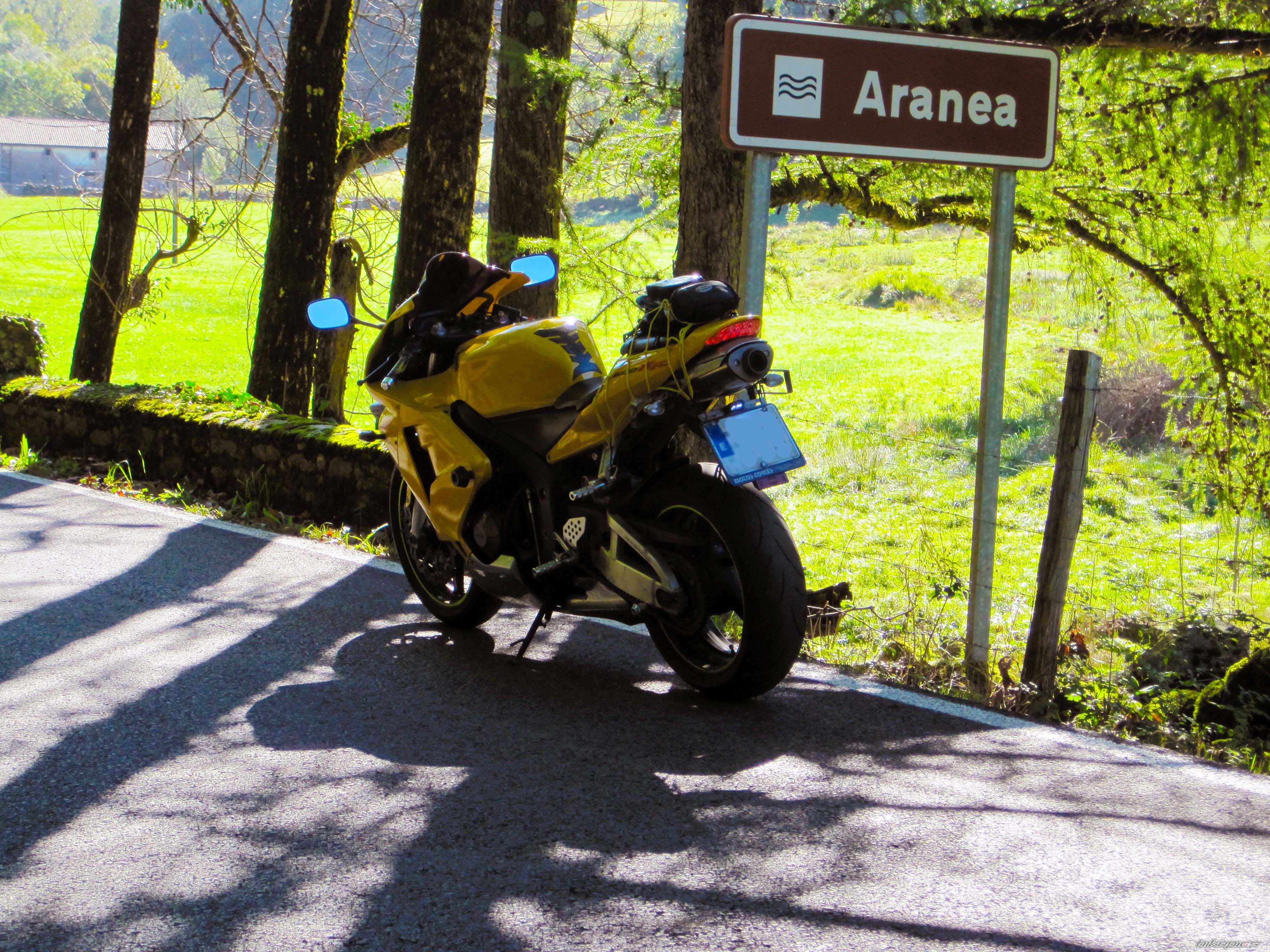 Photo 2276540