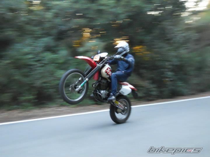 Photo 2276666