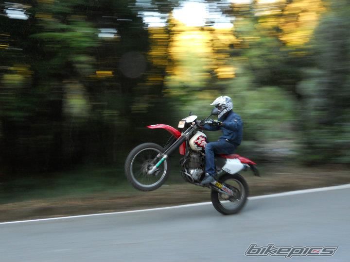 Photo 2276667