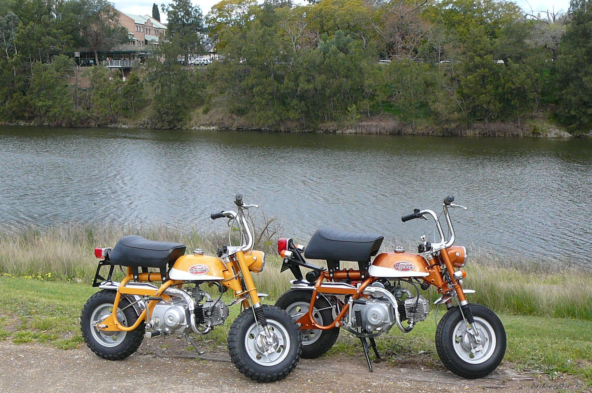 Photo 2276751