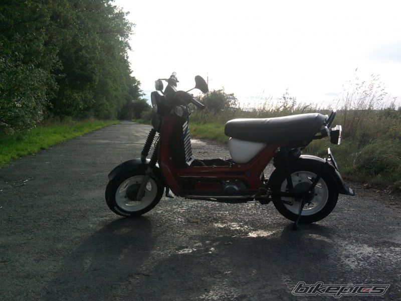 Photo 2276928