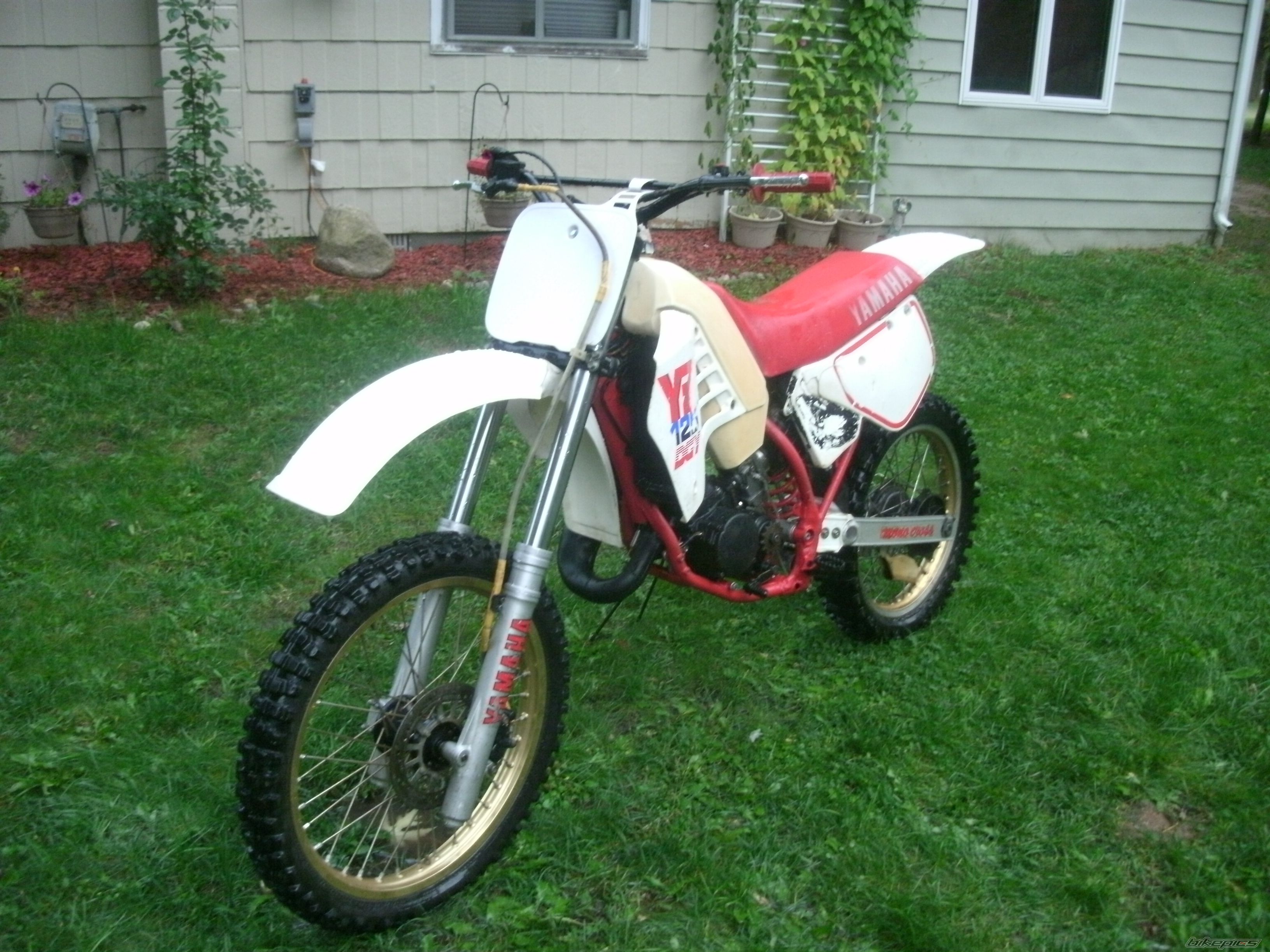 Photo 2277055