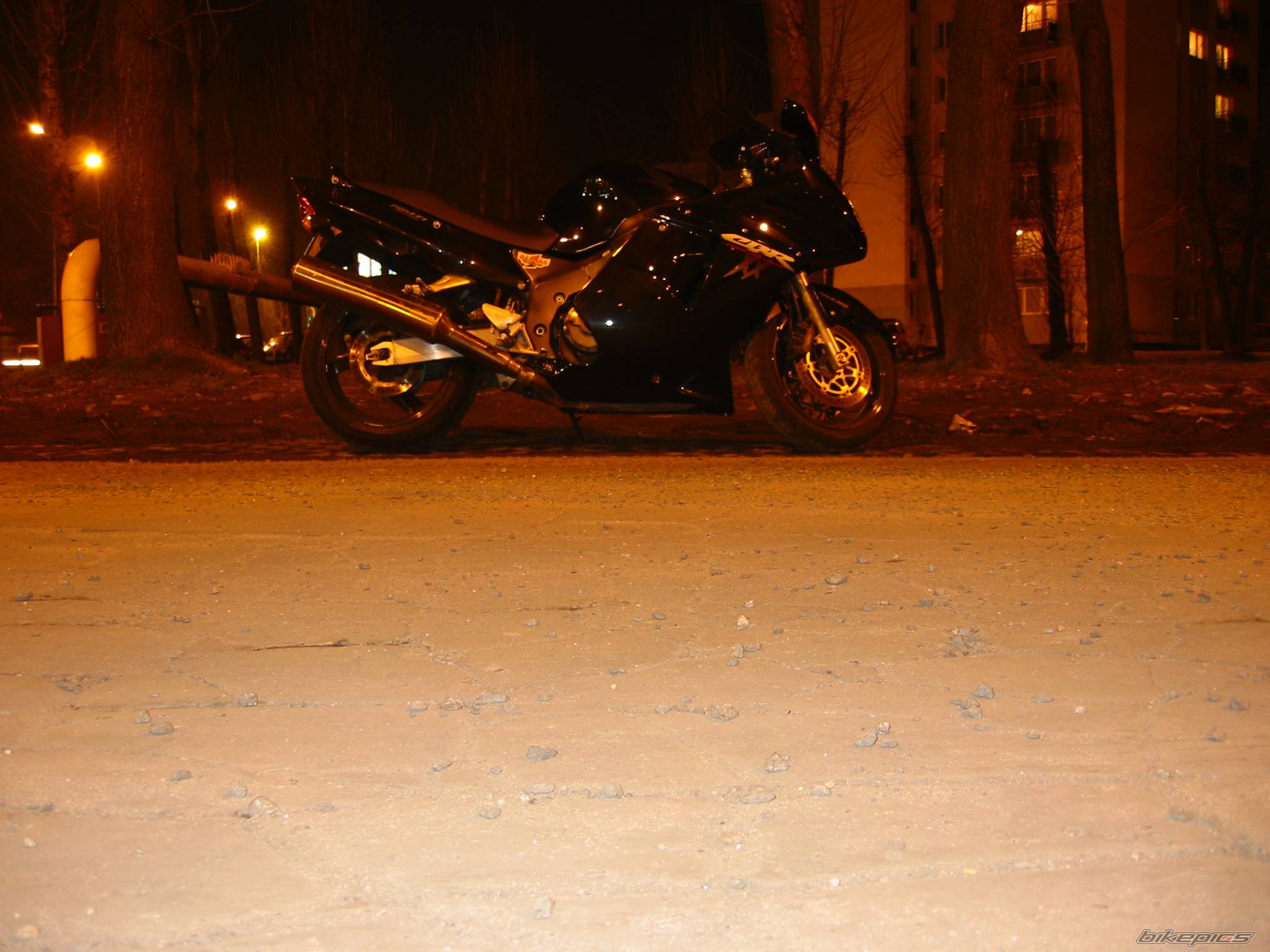 Photo 227708