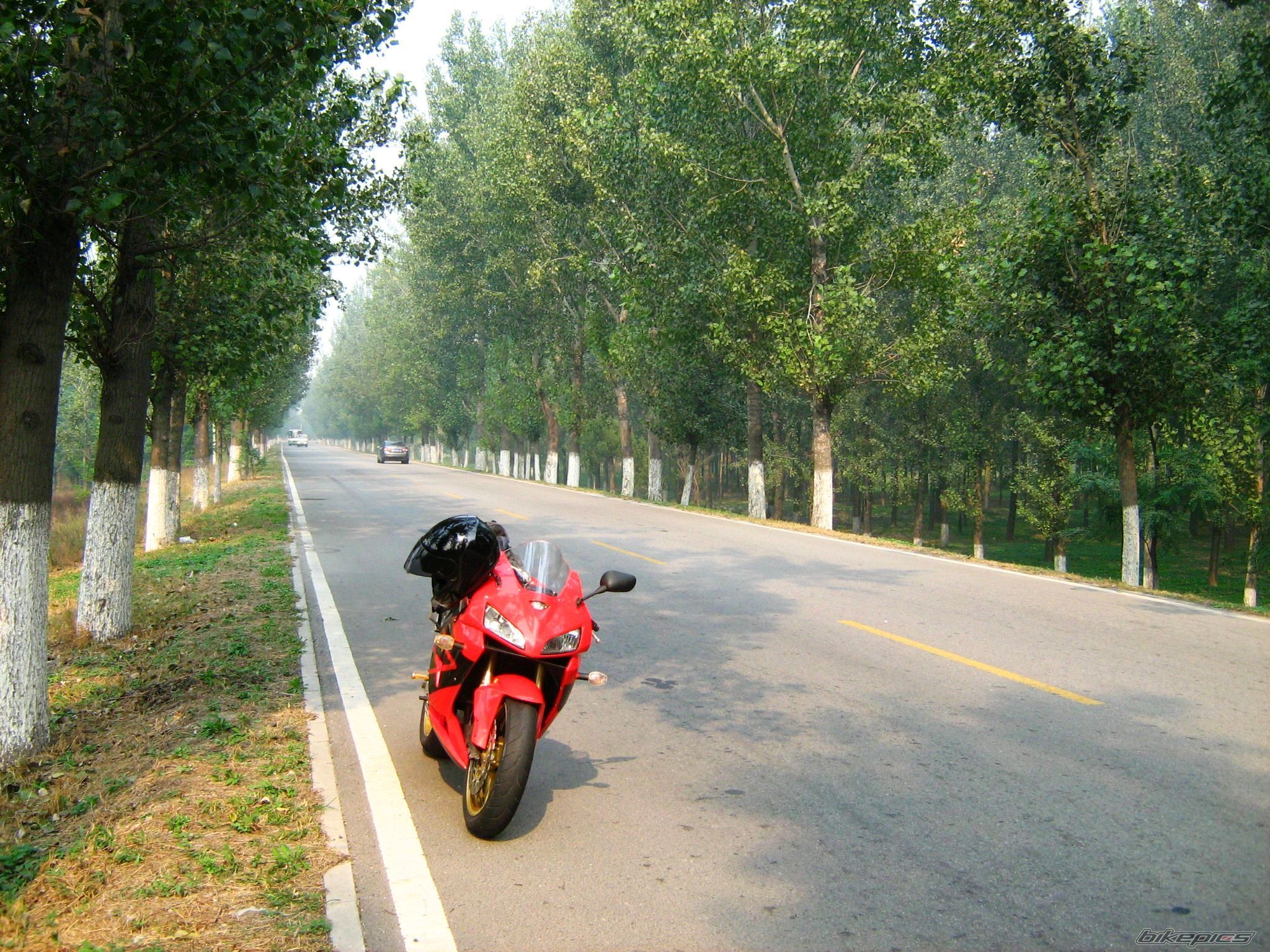Photo 2277132