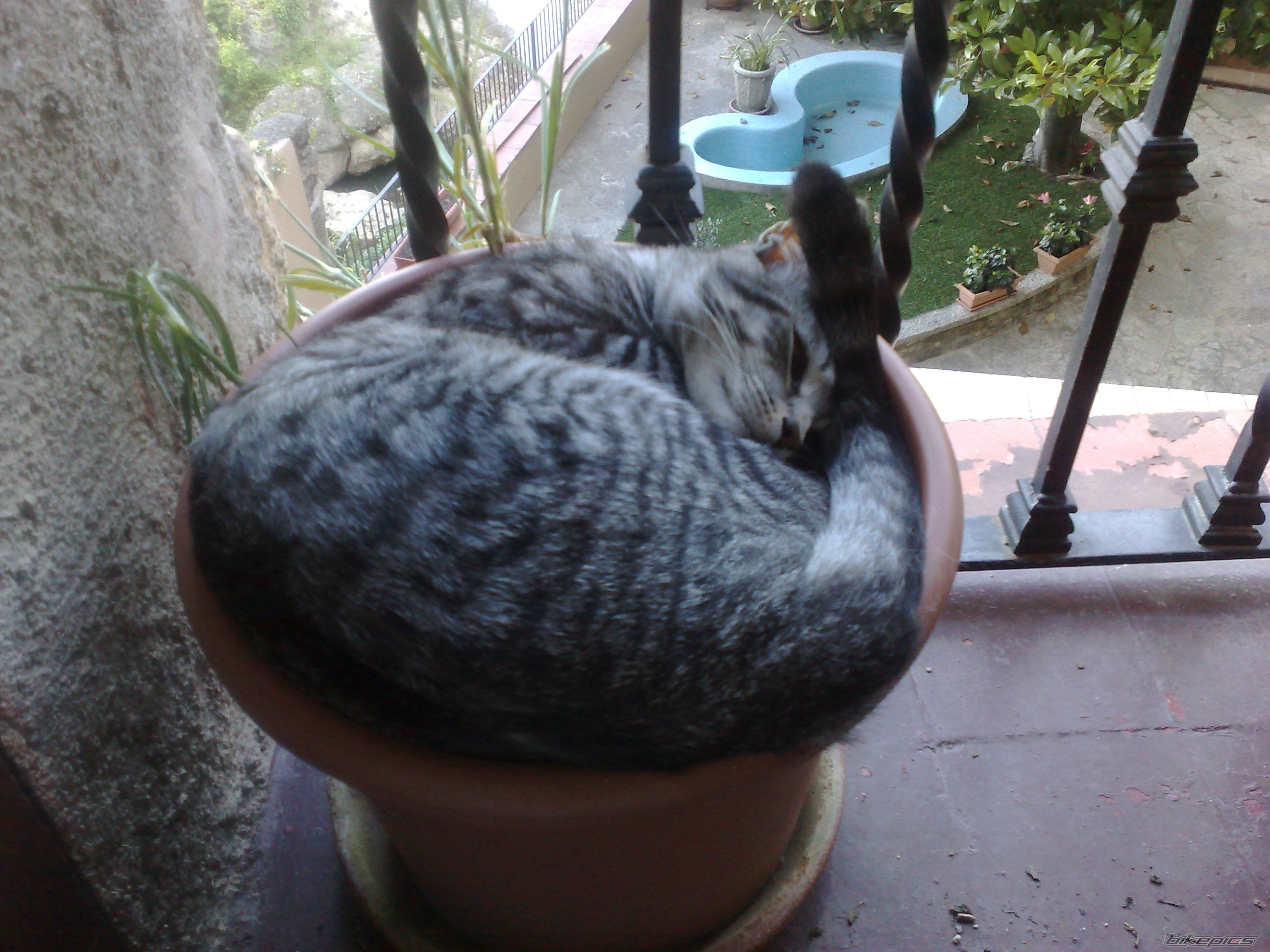 Photo 2277169