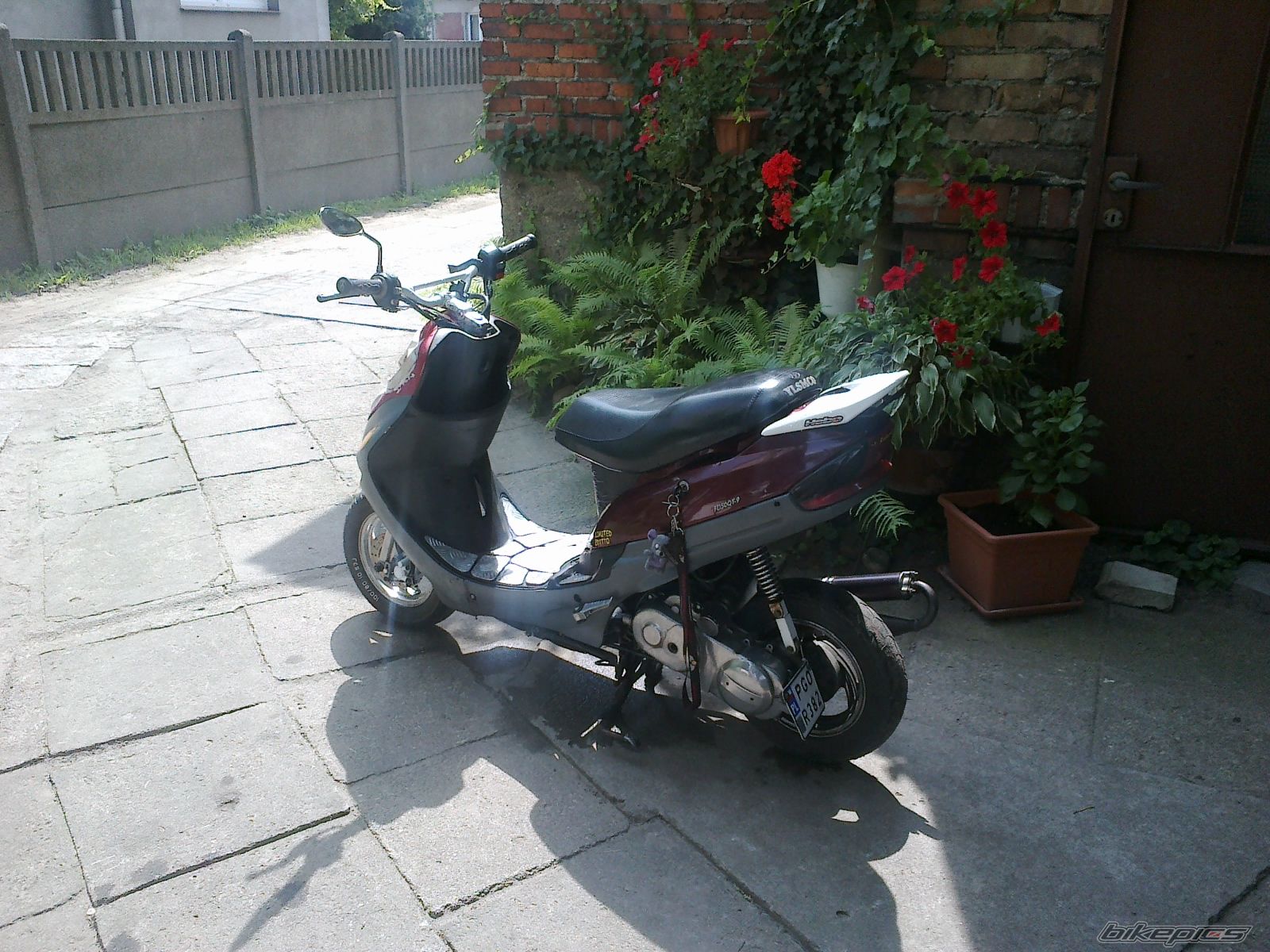 Photo 2277194
