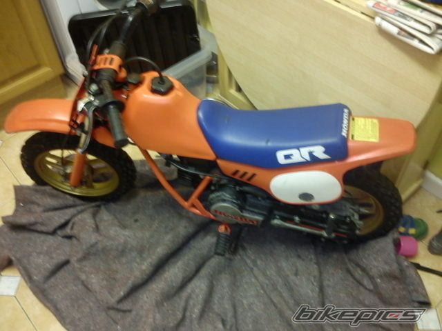 Photo 2277224